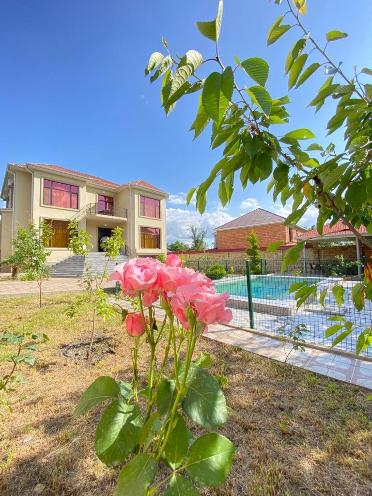 Two-Bedroom Villa photo 3