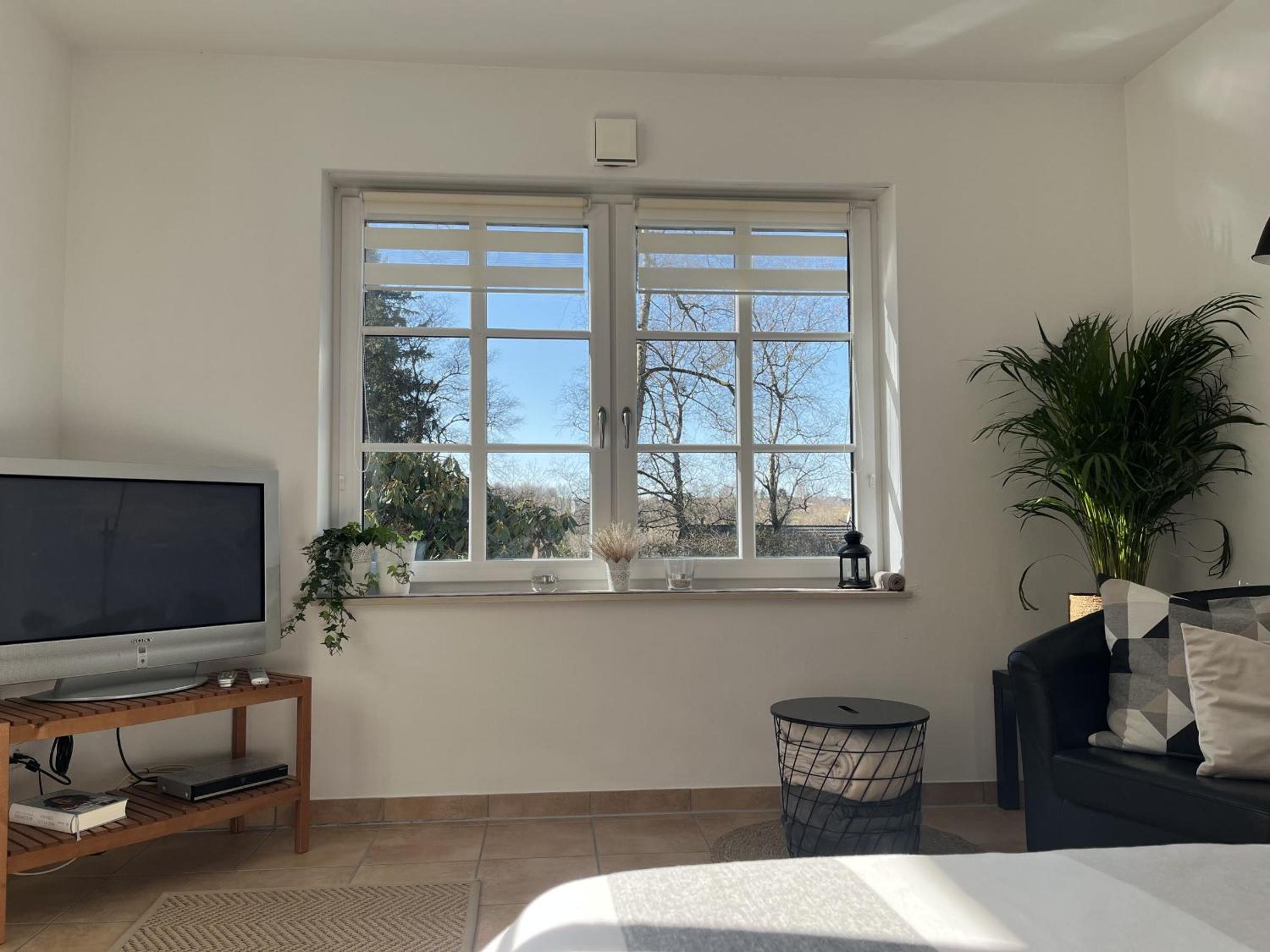 One-Bedroom Apartment with Garden View