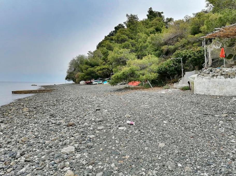 Villa With Sea View photo 3