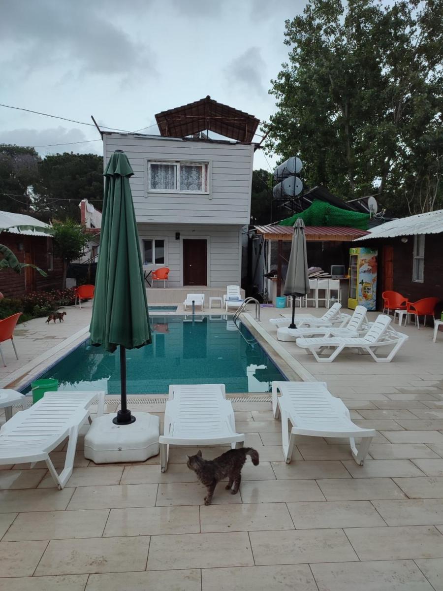 Double Room with Pool View photo 1
