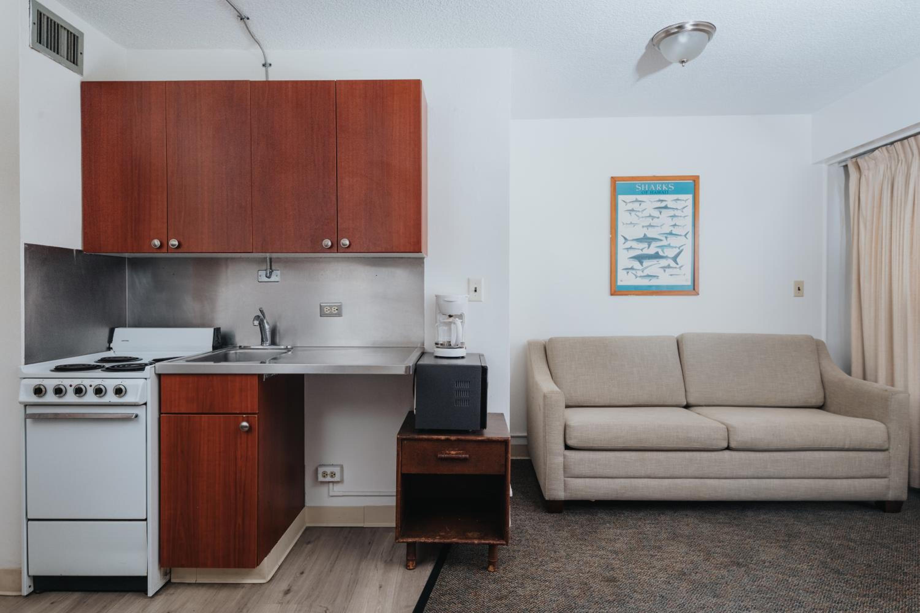 1 Bedroom Suite King and Sofa Sleeper with Full Kitchen photo 3