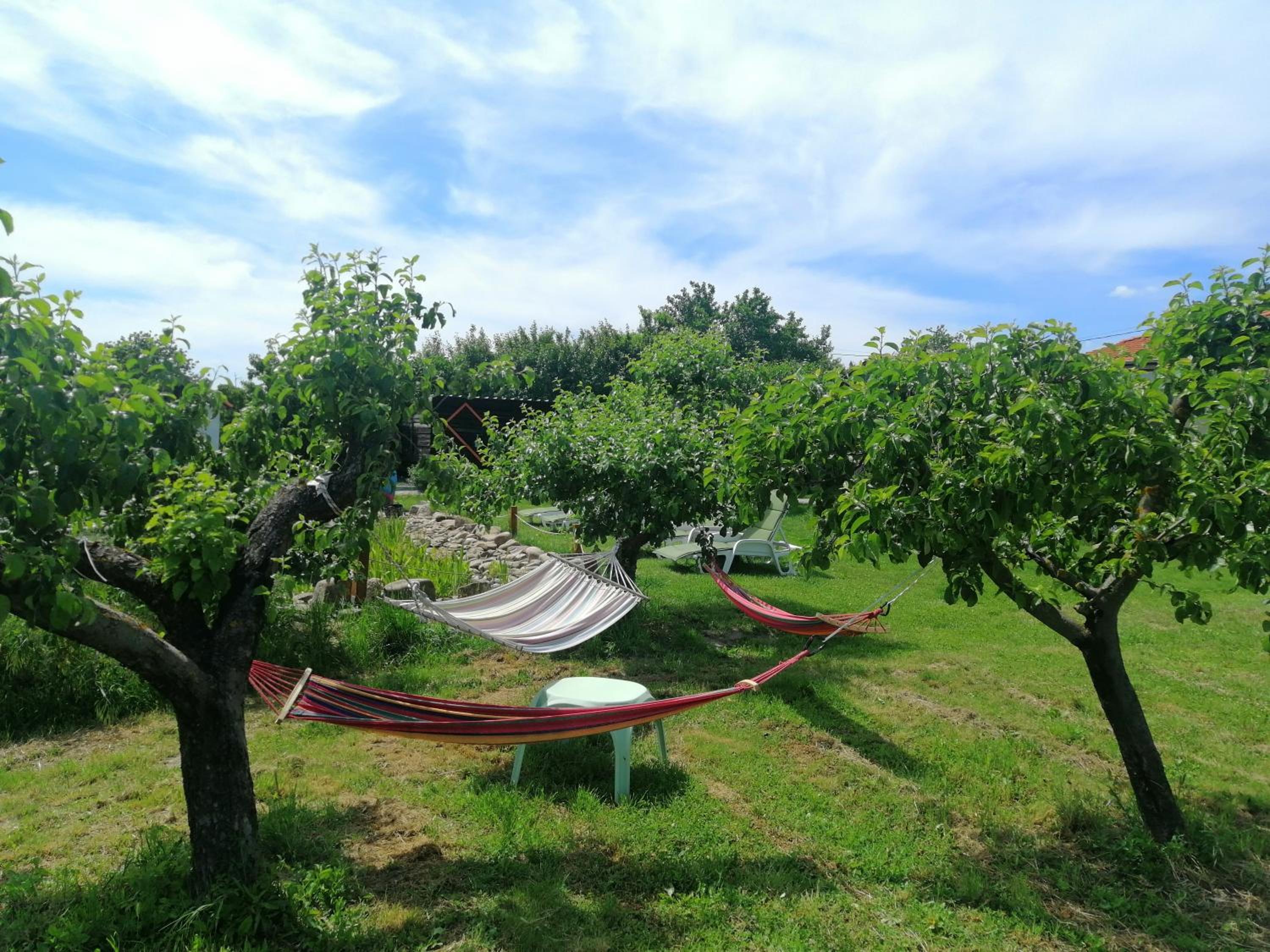 Tent - Photo 64