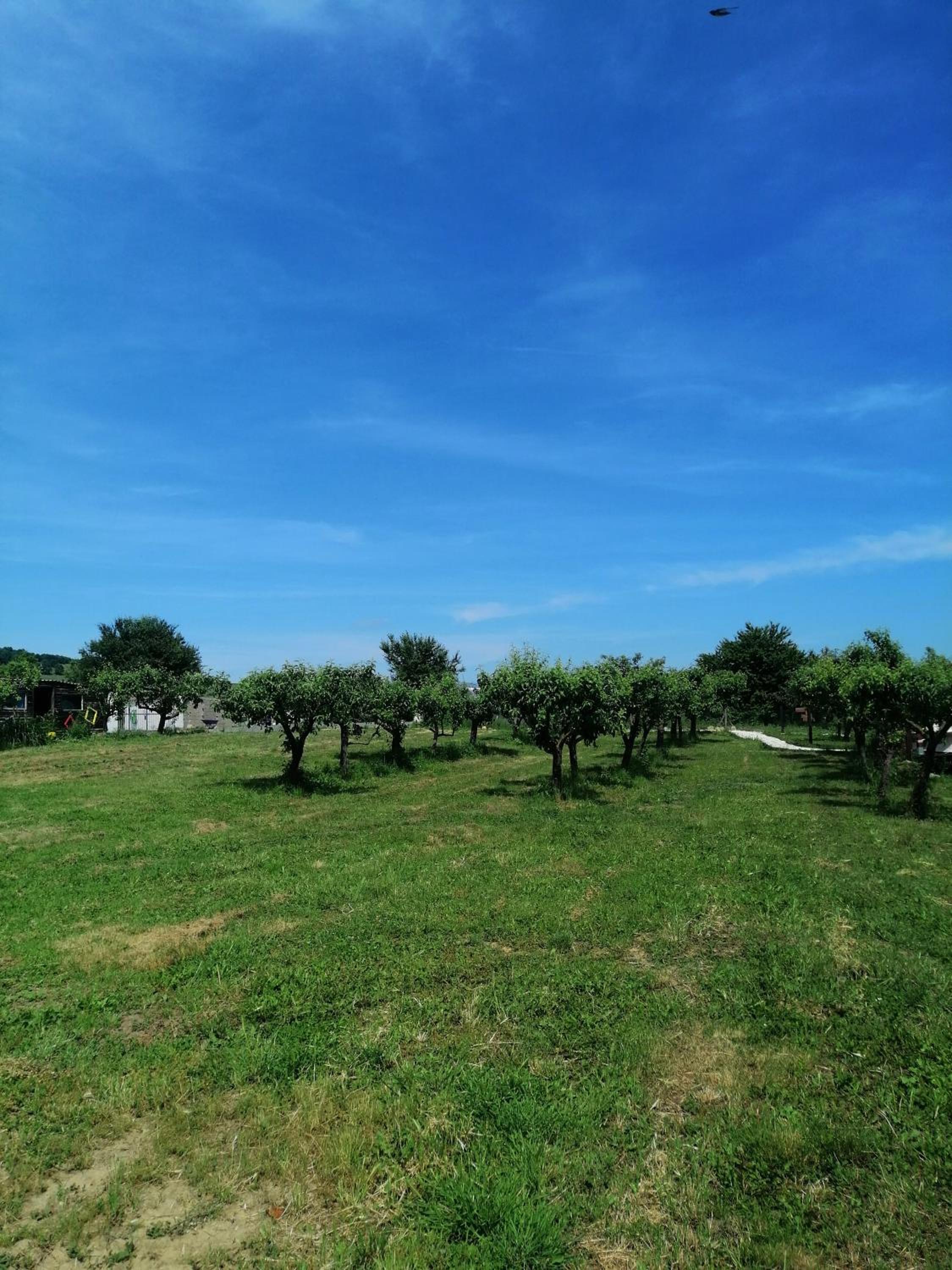 Tent - Photo 35