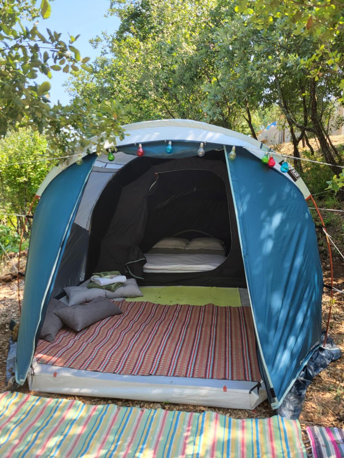 Tent (2 Adults)  photo 3