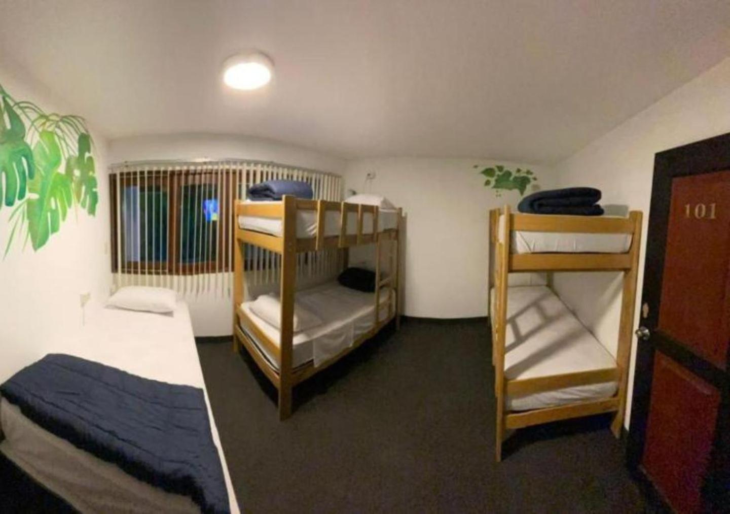 6-Bed Mixed Dormitory Room photo 1