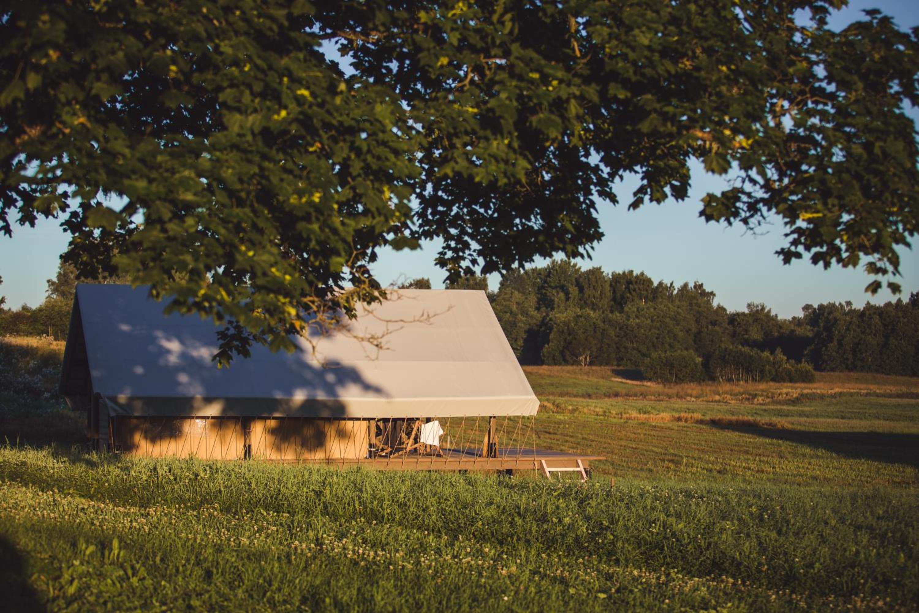 Tent - Photo 4
