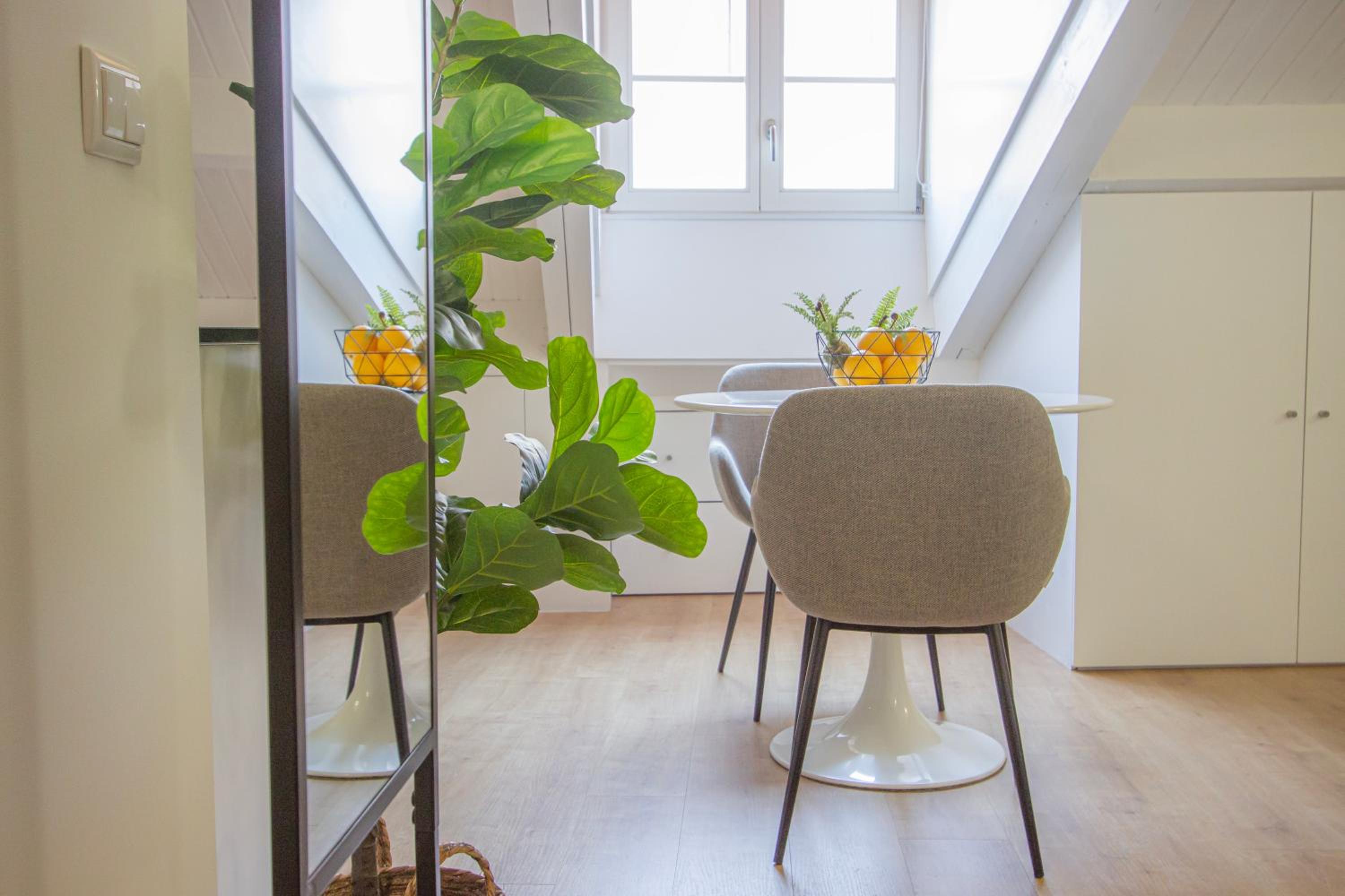 Studio Apartment - Photo 8