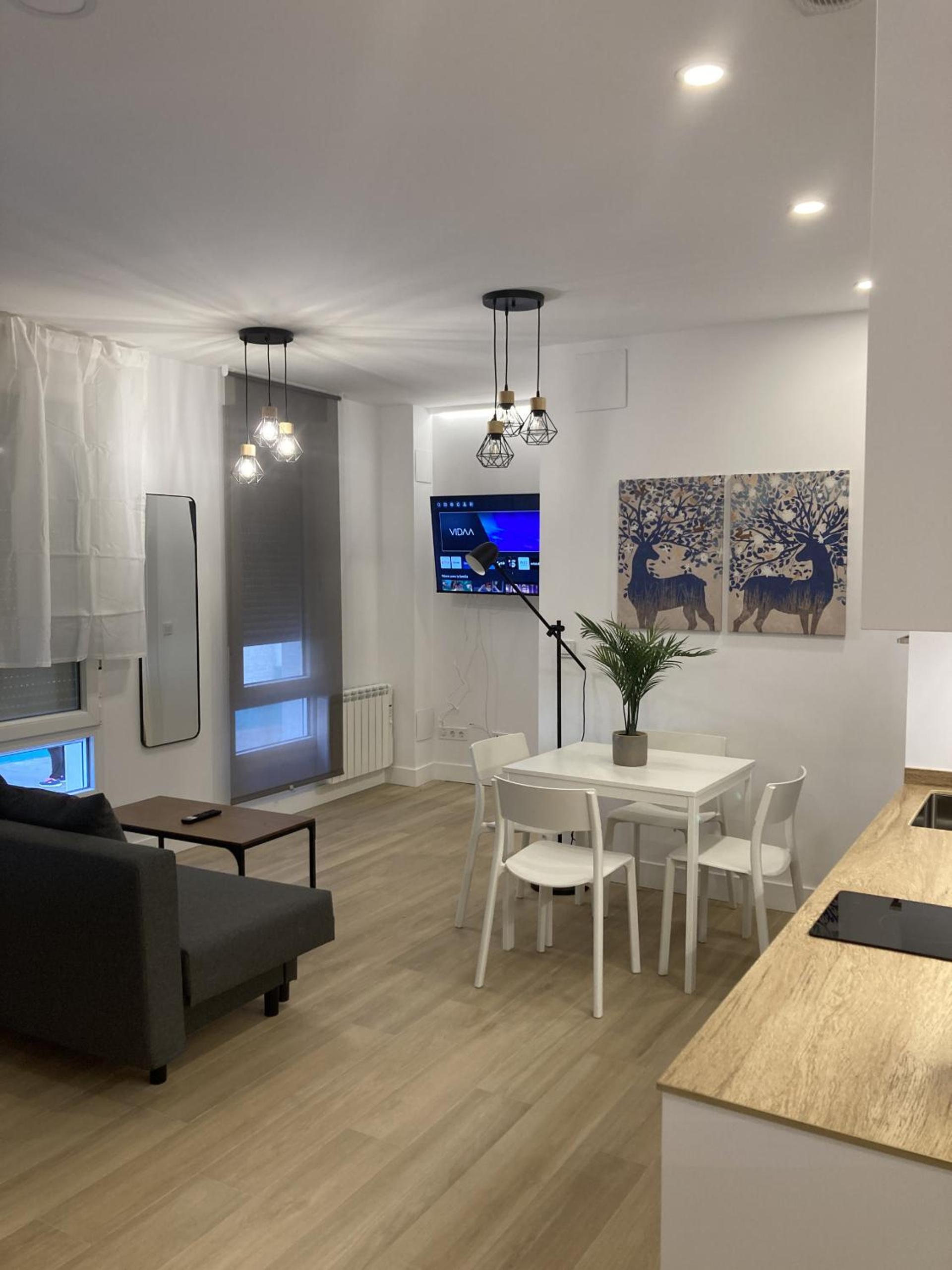 Apartamento de una habitación