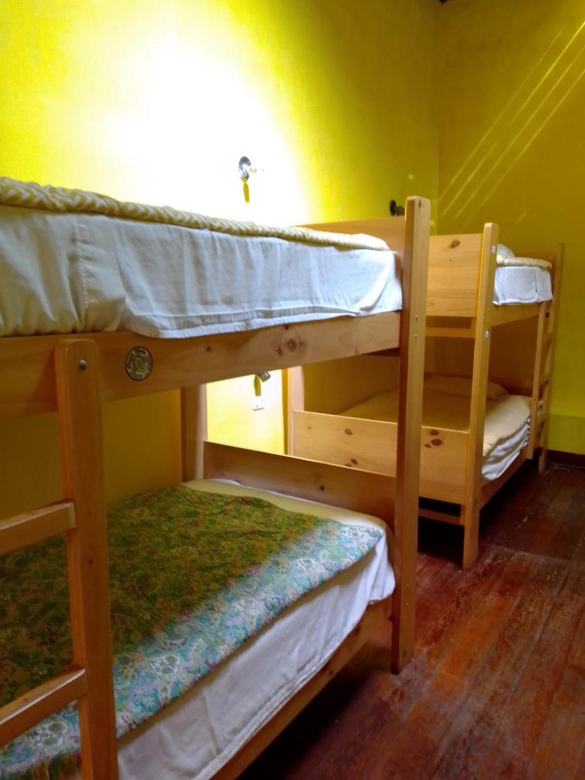 Bed in 8-Bed Female Dormitory Room photo 1