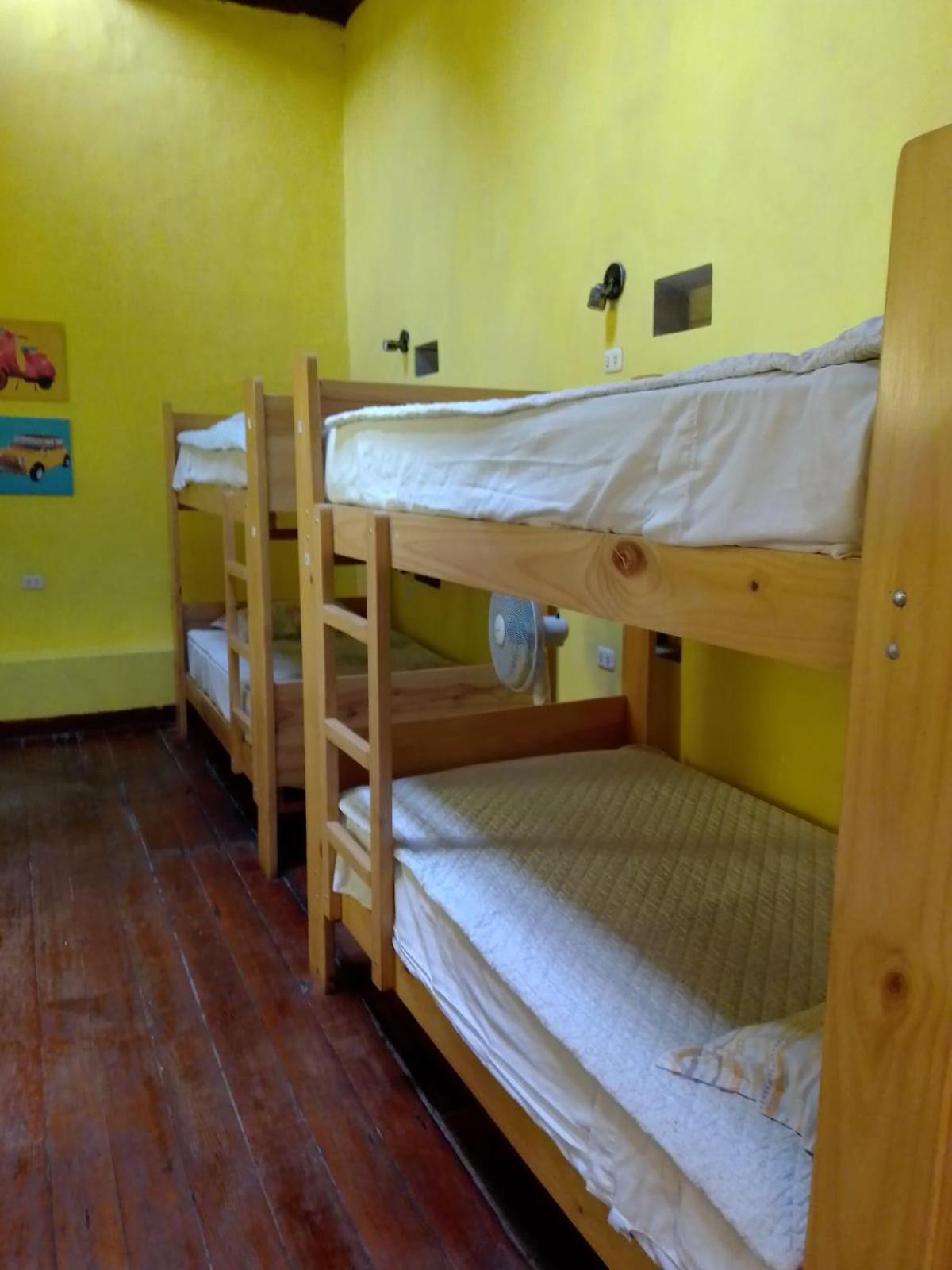Bed in 8-Bed Female Dormitory Room photo 2