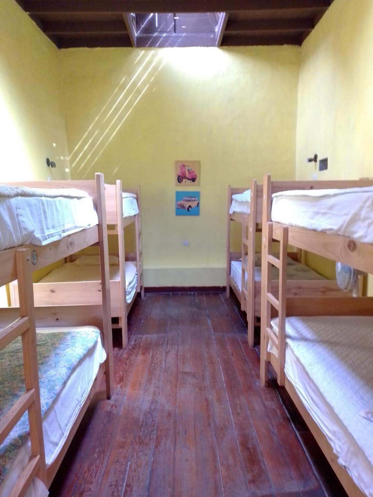 Bed in 8-Bed Female Dormitory Room photo 3