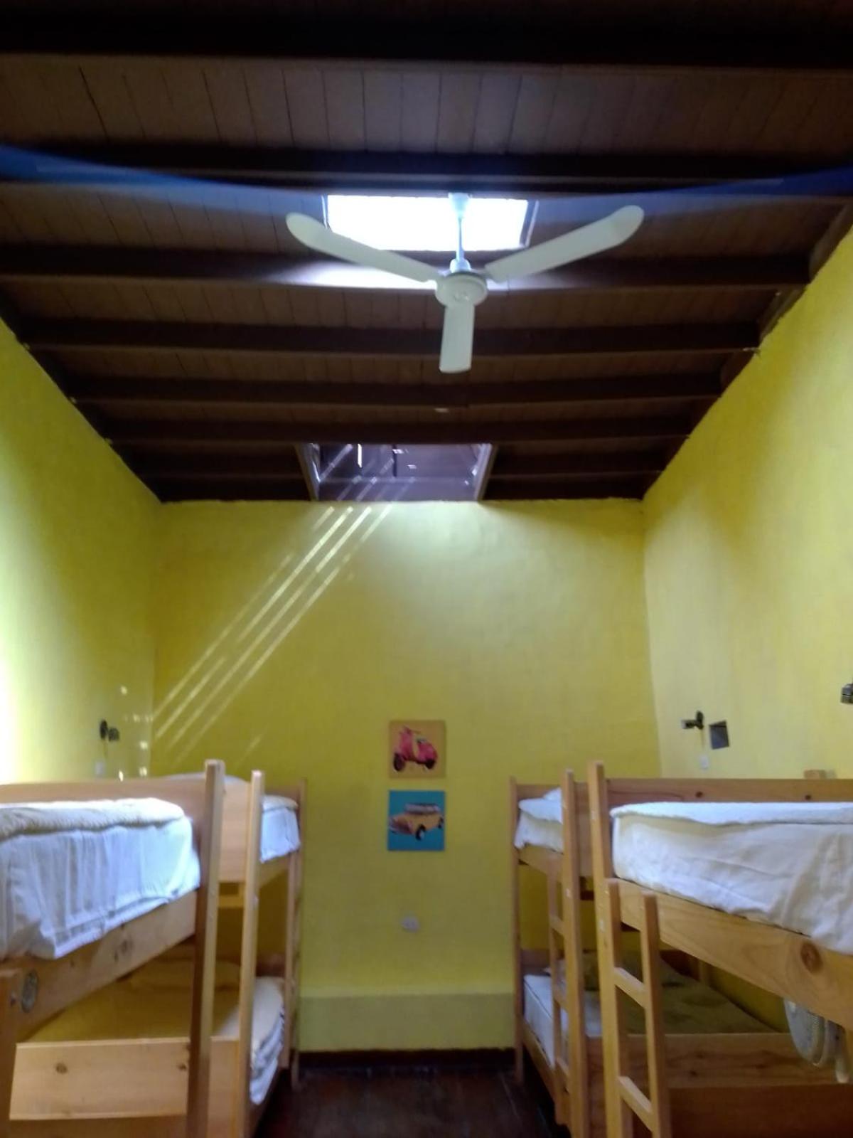 Bed in 8-Bed Female Dormitory Room photo 3