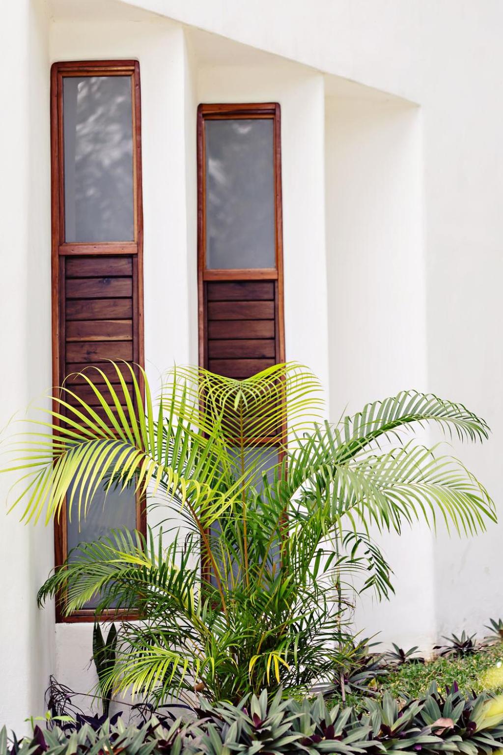 Deluxe Suite - Photo 7