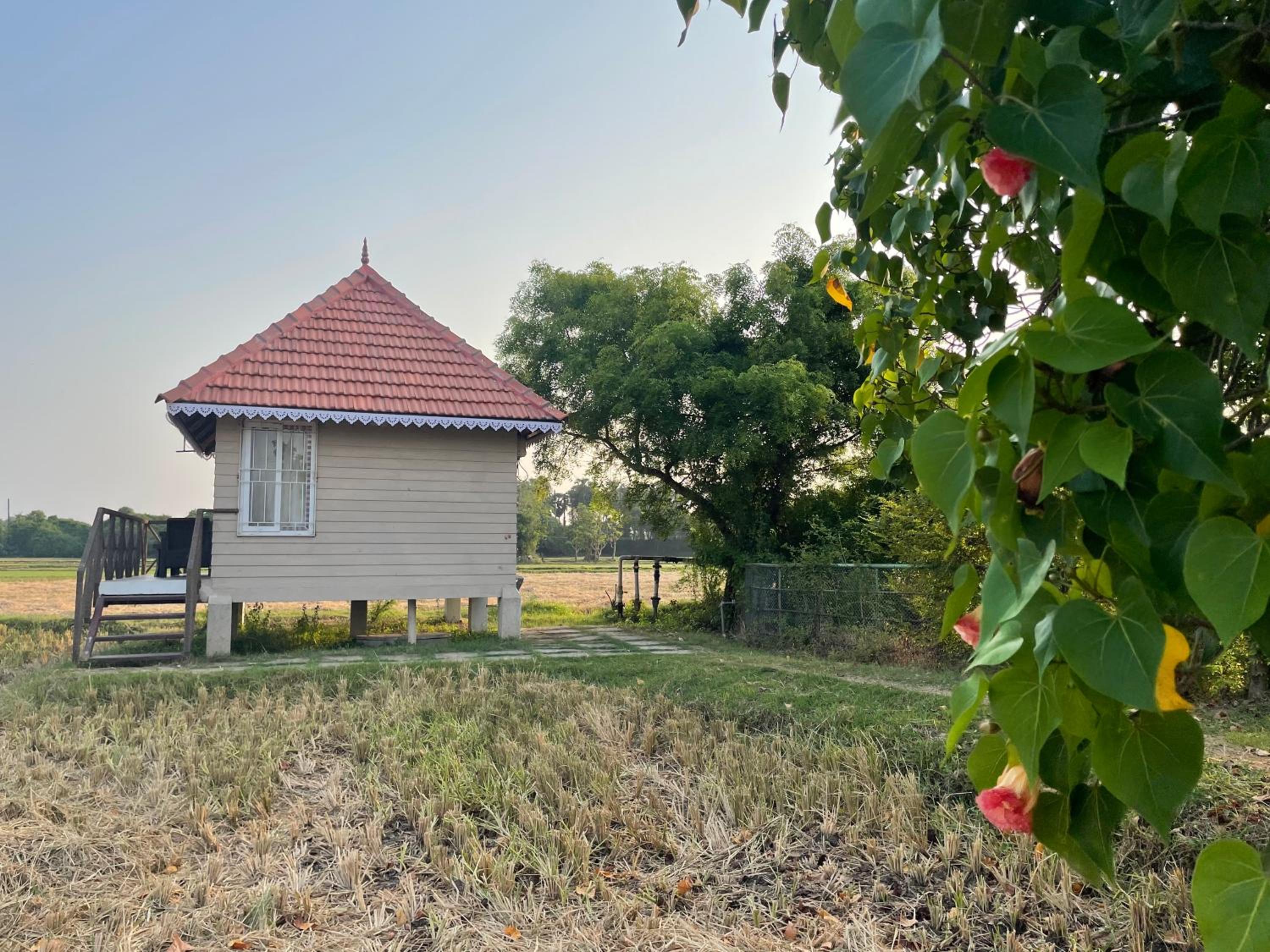 Farm Hut (Middle of Paddy field) - Photo 3