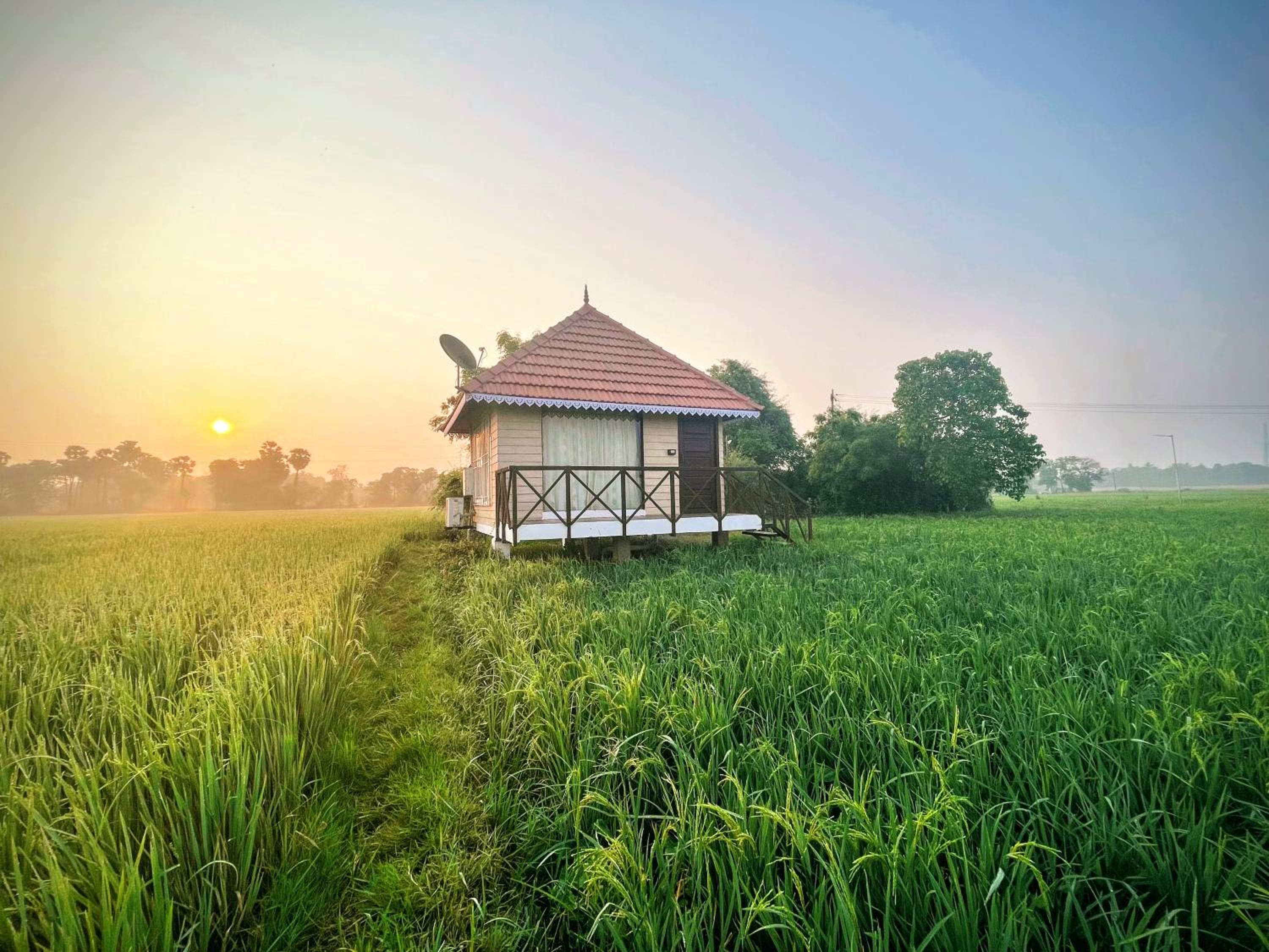 Farm Hut (Middle of Paddy field) - Photo 2