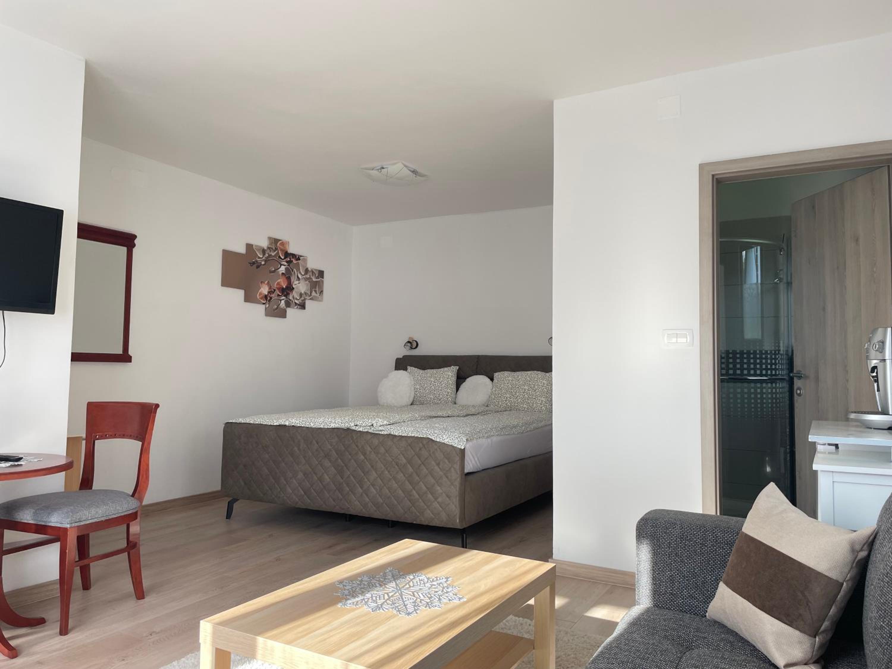 Large Double Room photo 3
