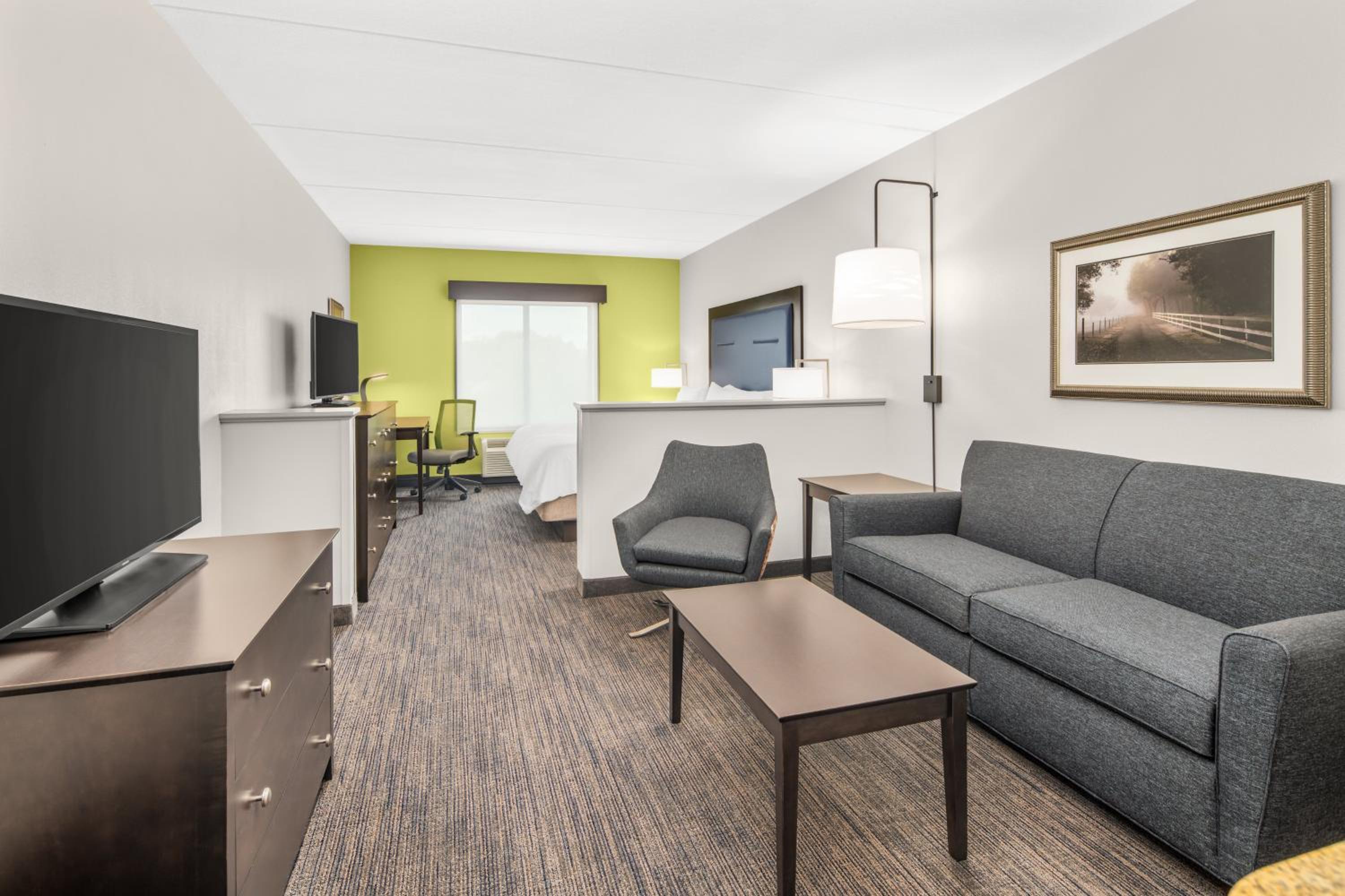 One-Bedroom Suite - Photo 4