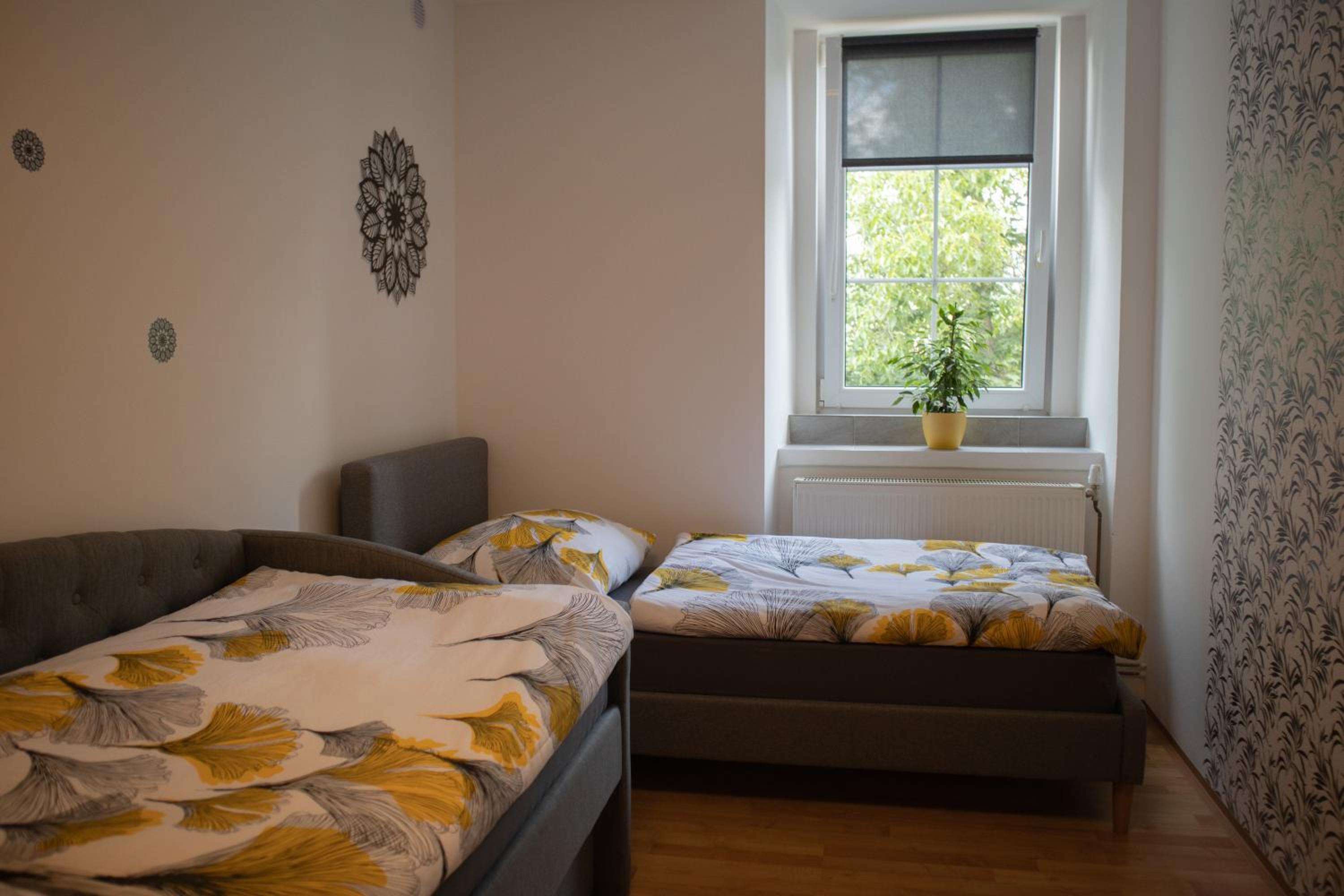 Superior Apartment
