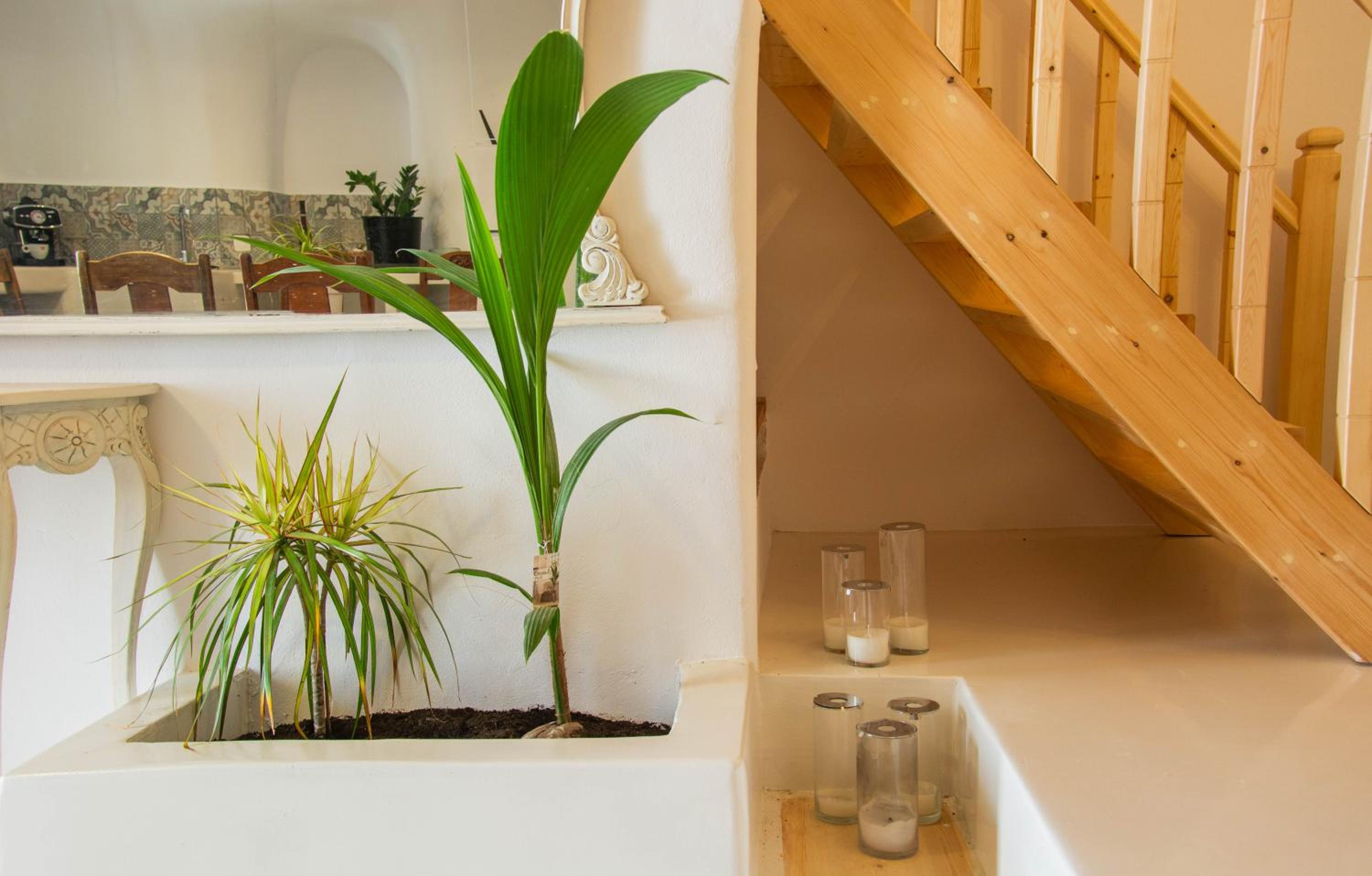 One-Bedroom House photo 2