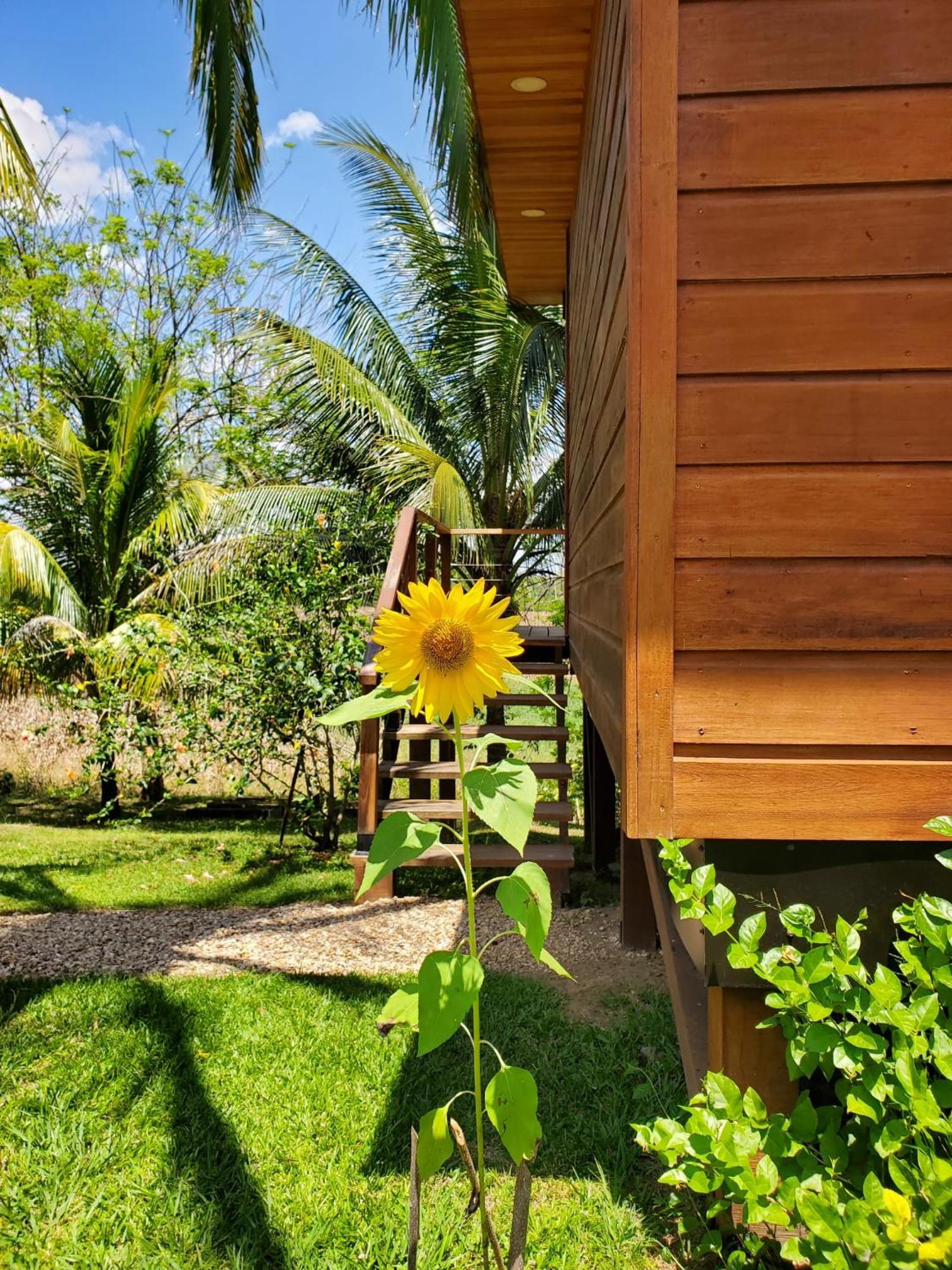 Bungalow - Water Front