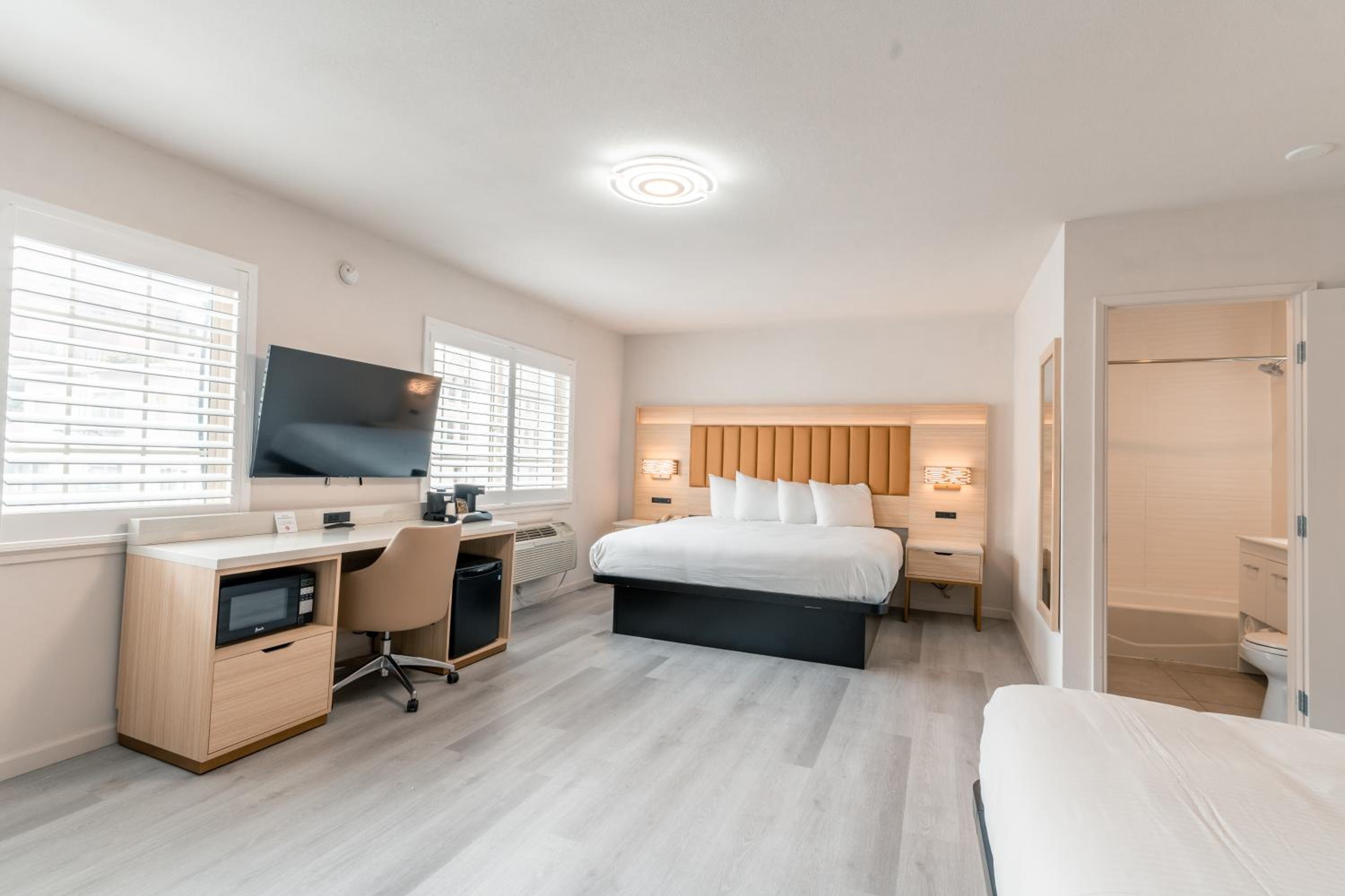 Deluxe King Suite - Photo 4