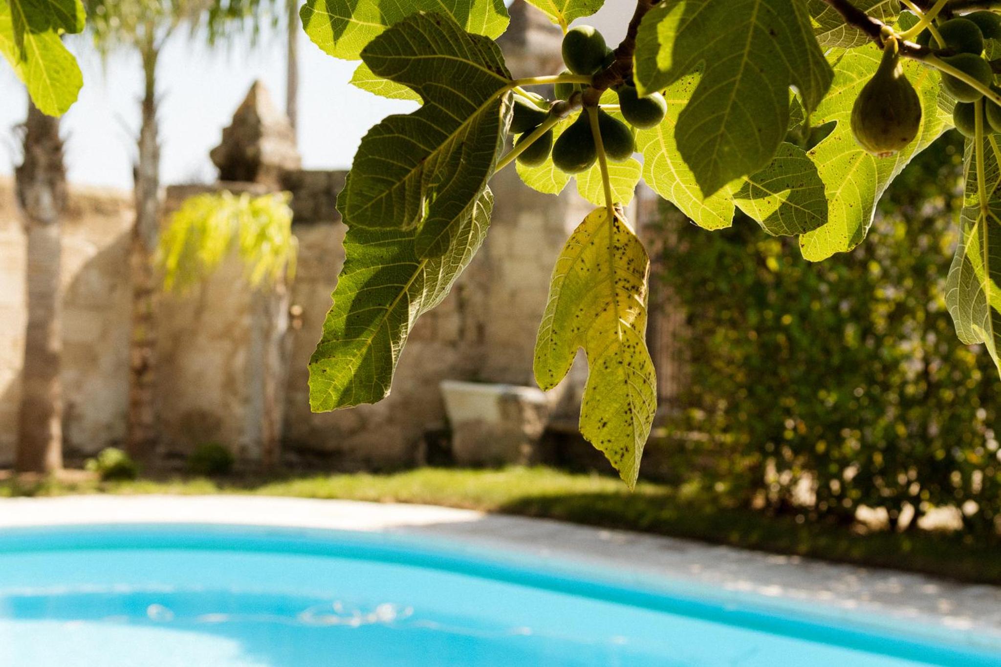 Villa with Private Pool photo 2