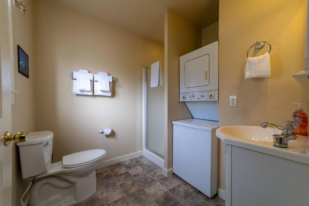 One-Bedroom House photo 3