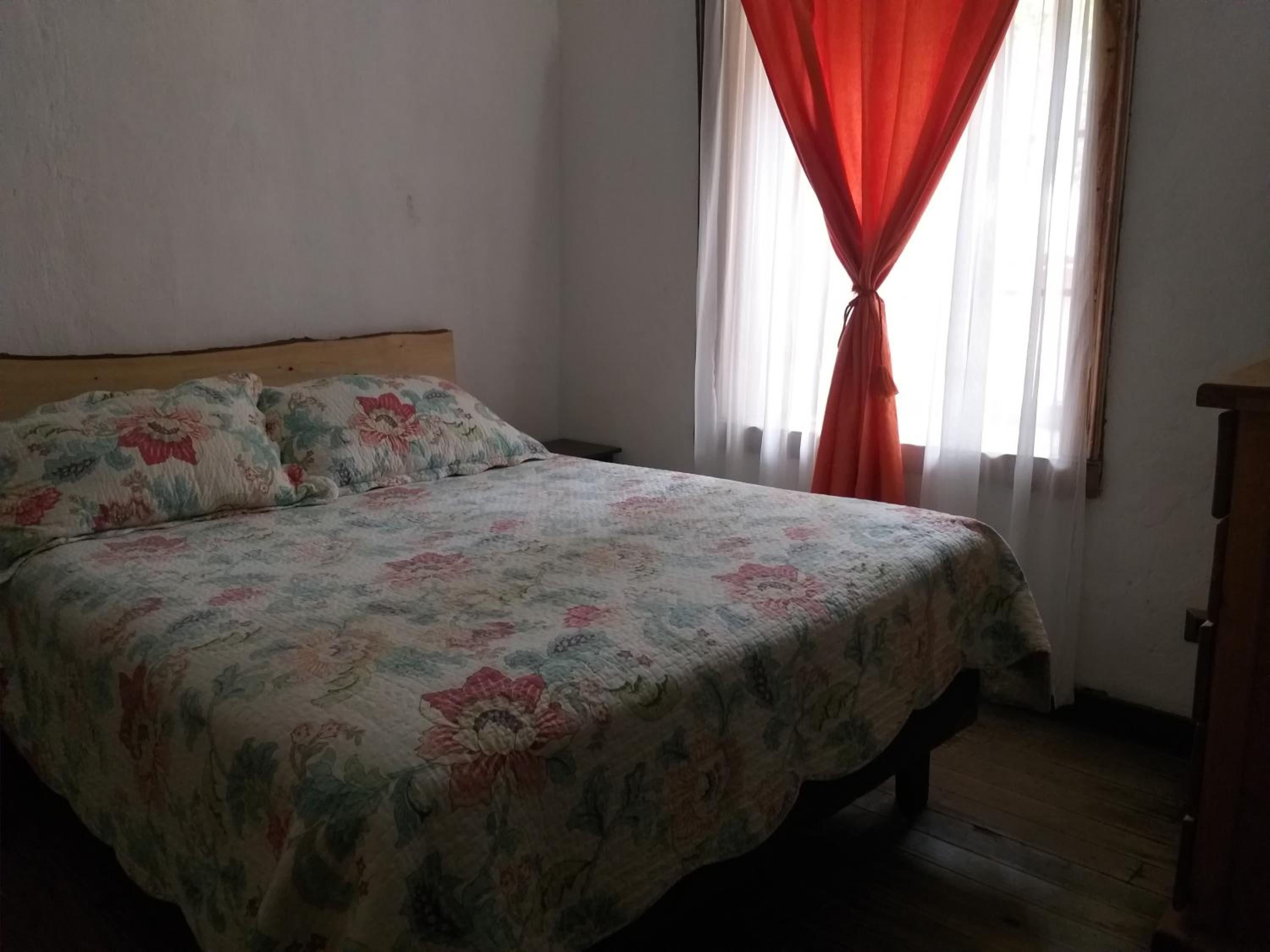 Double or Twin Room photo 3