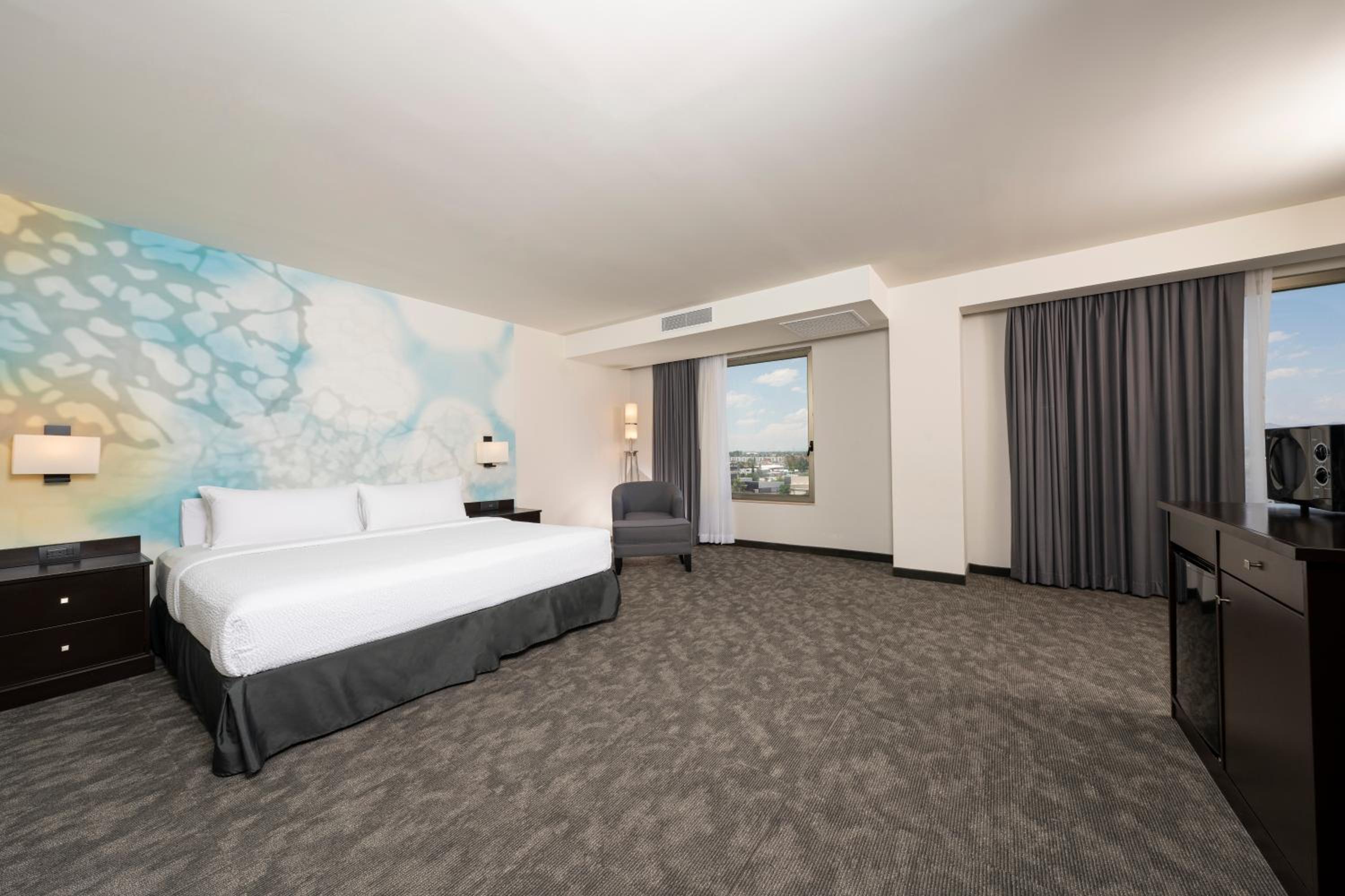 Large King Room photo 1