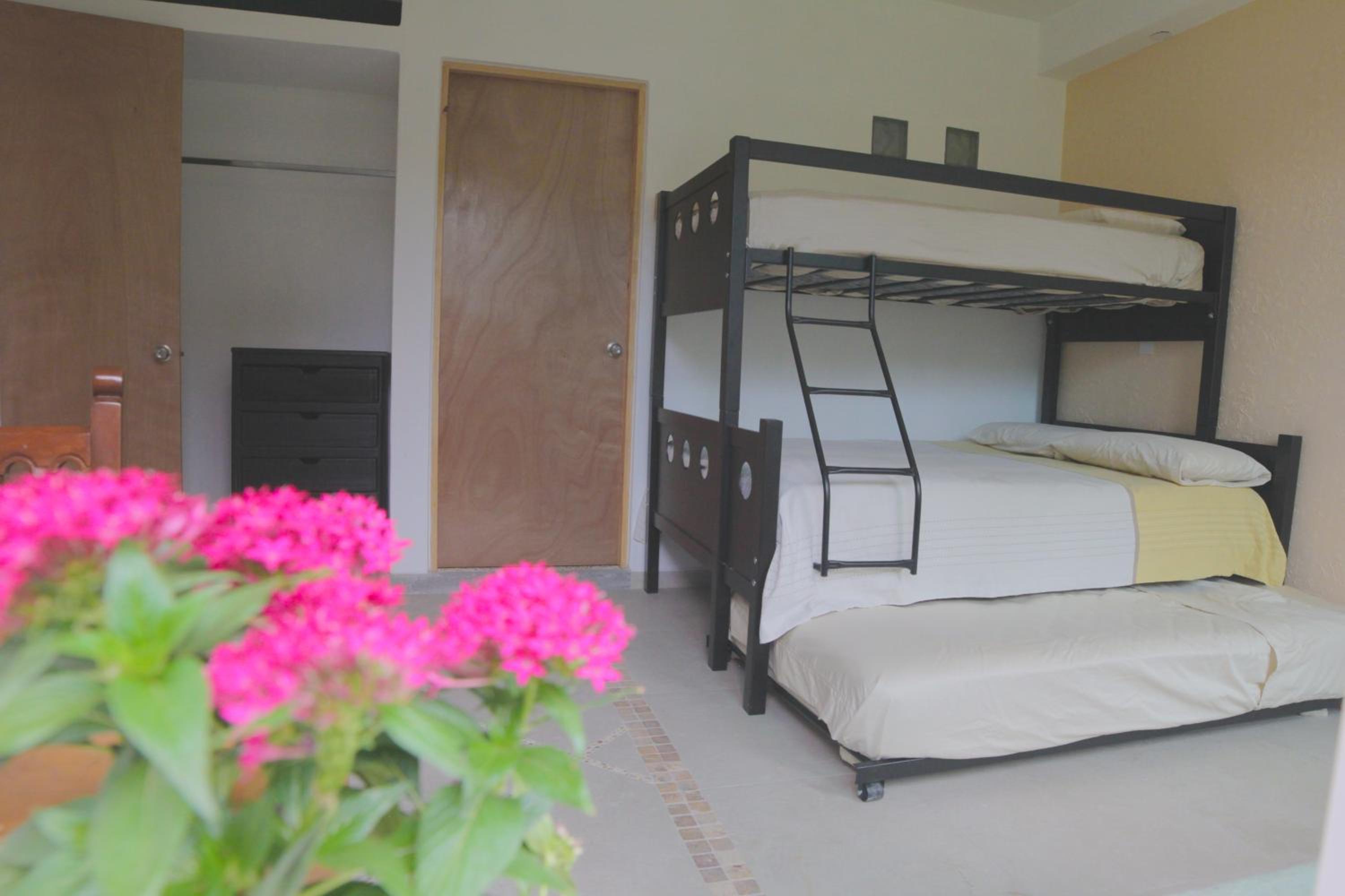 One-Bedroom House photo 3