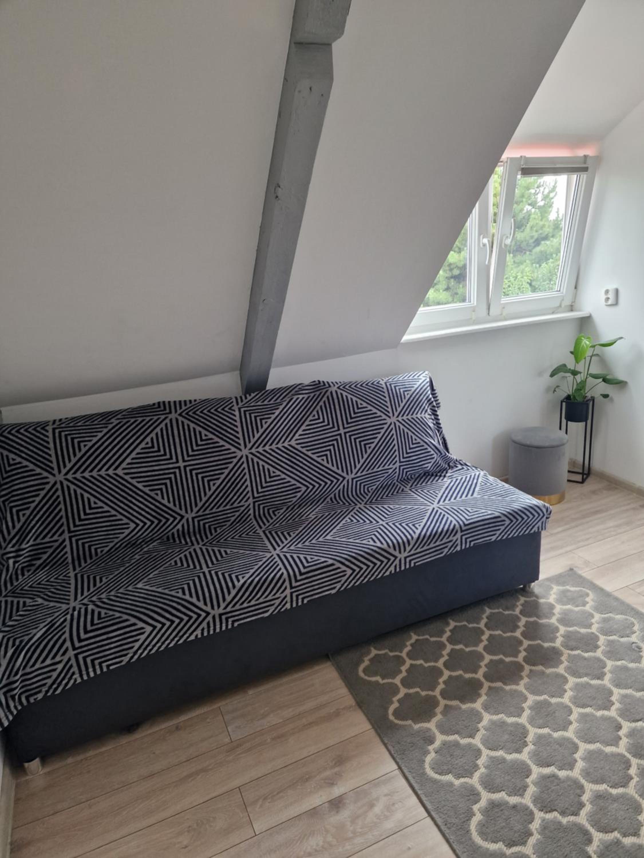 Studio Apartment photo 1