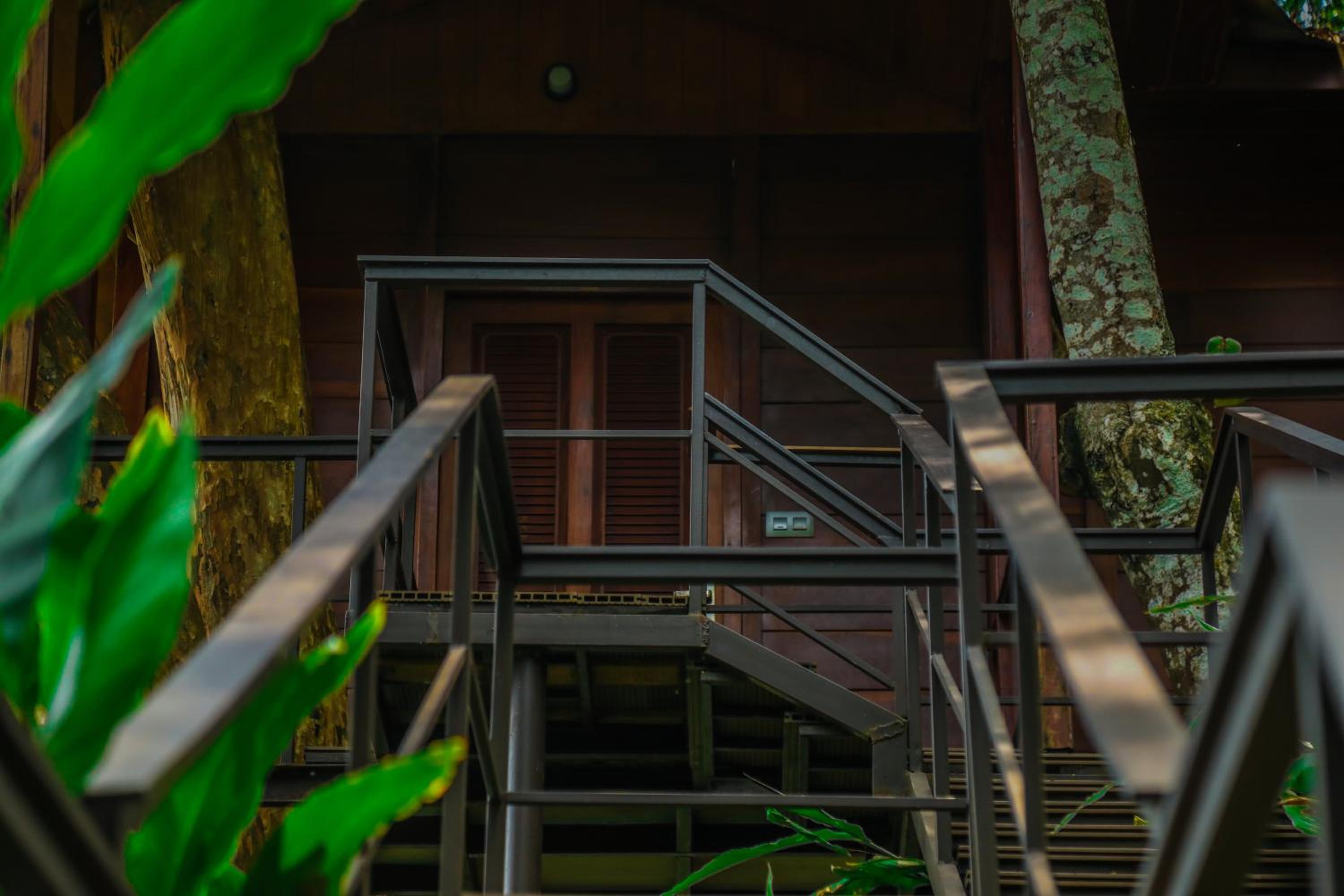 Tree House - Photo 3