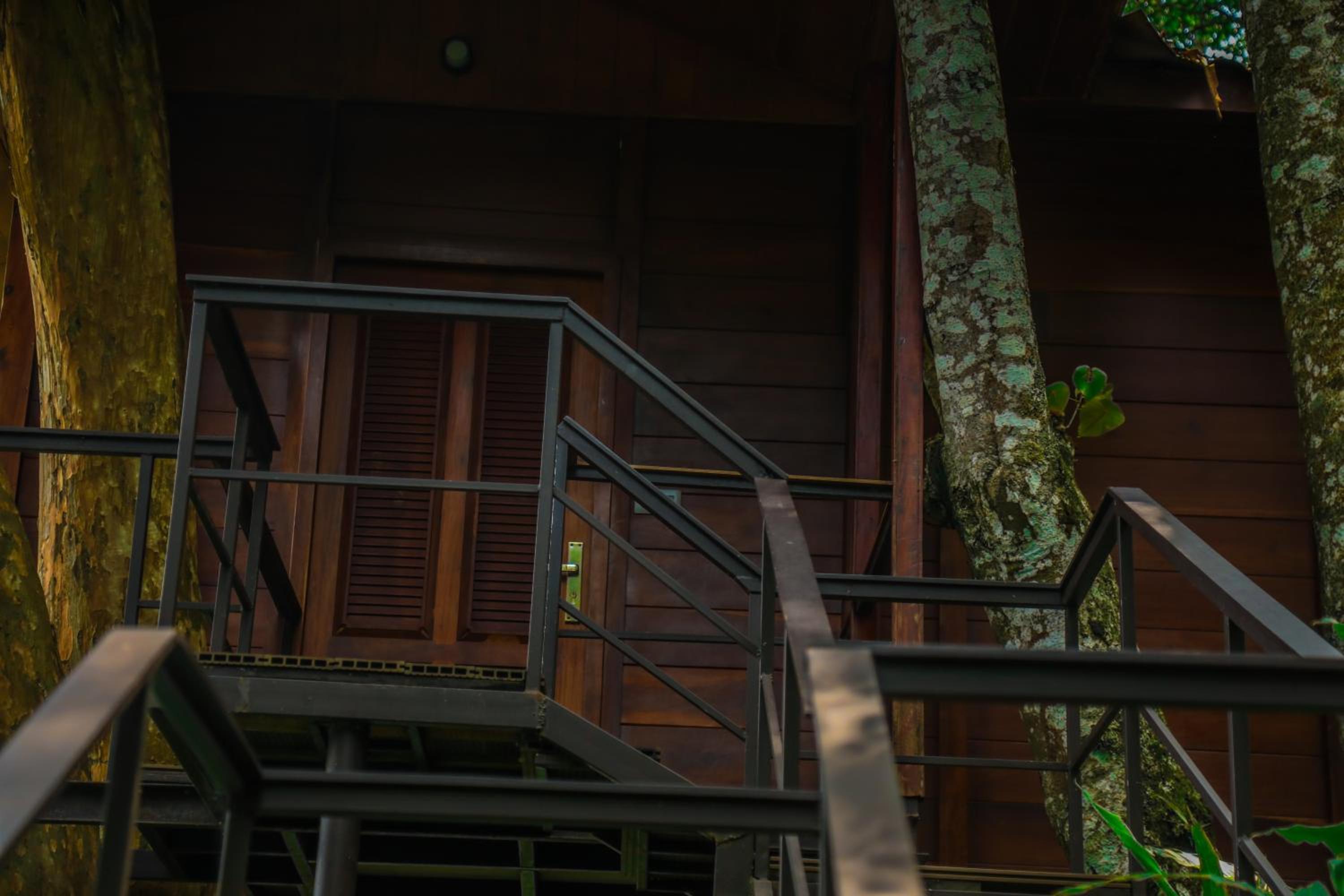 Tree House - Photo 2