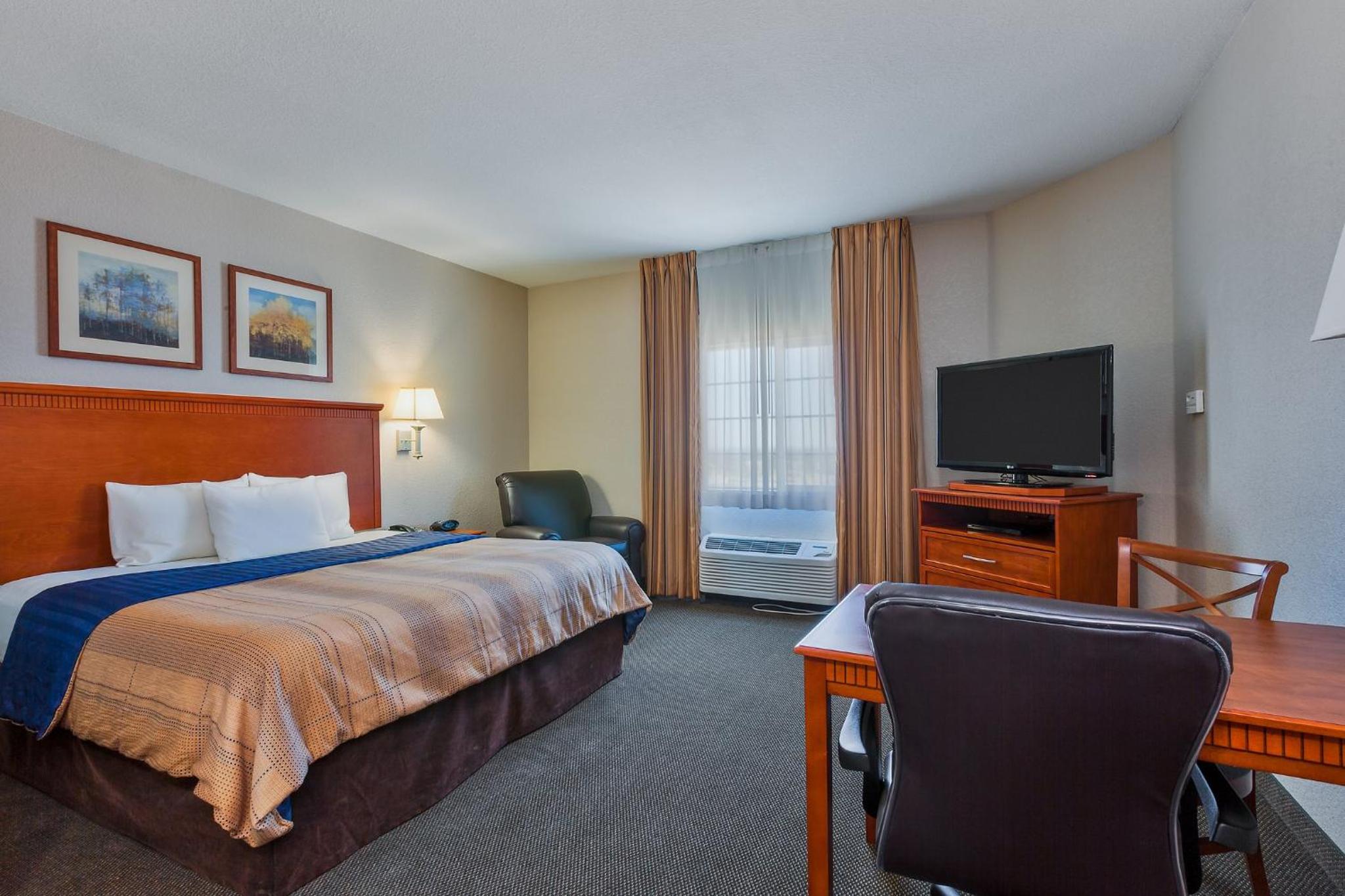 King Studio Suite - Photo 2