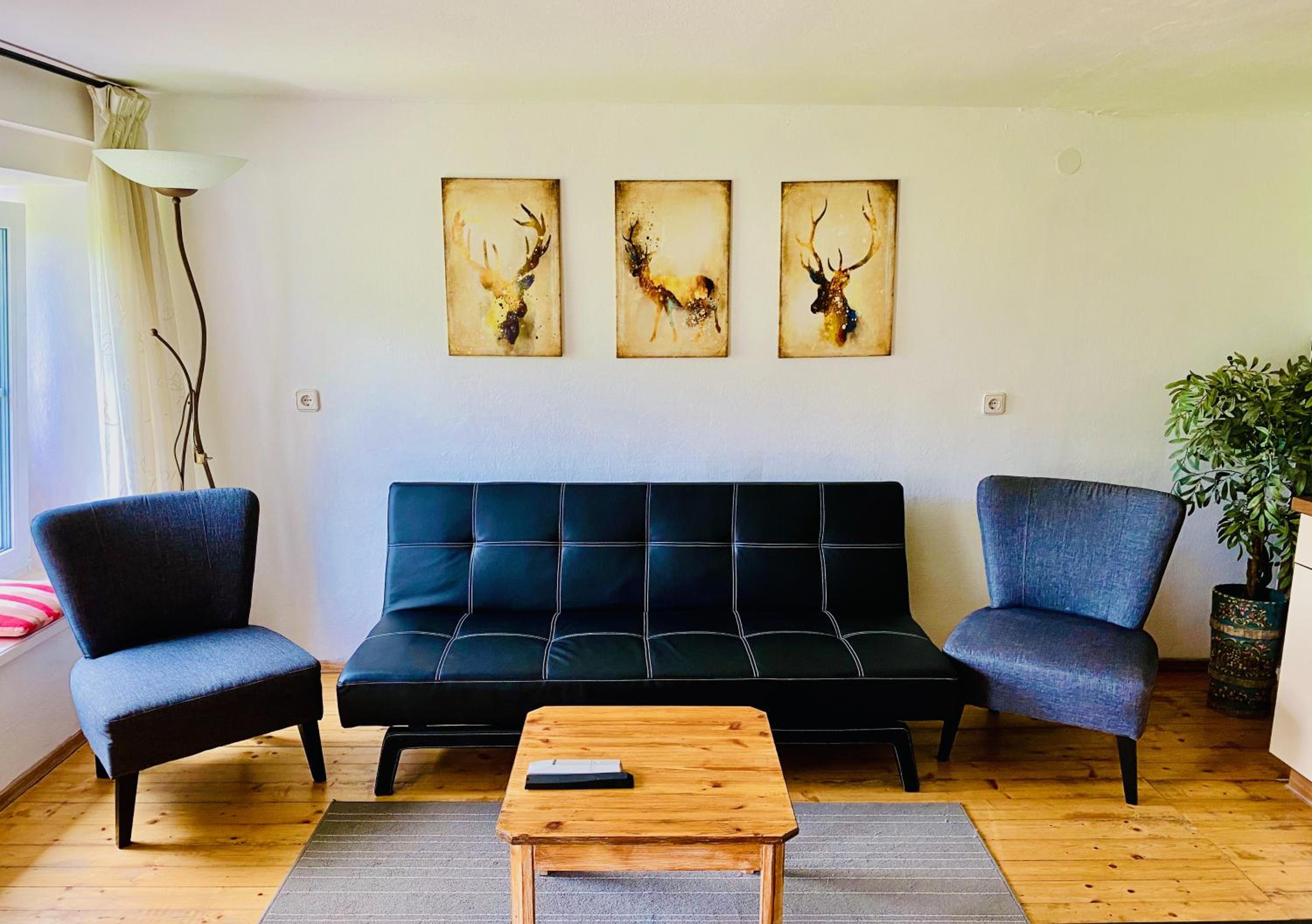 One-Bedroom Apartment photo 3