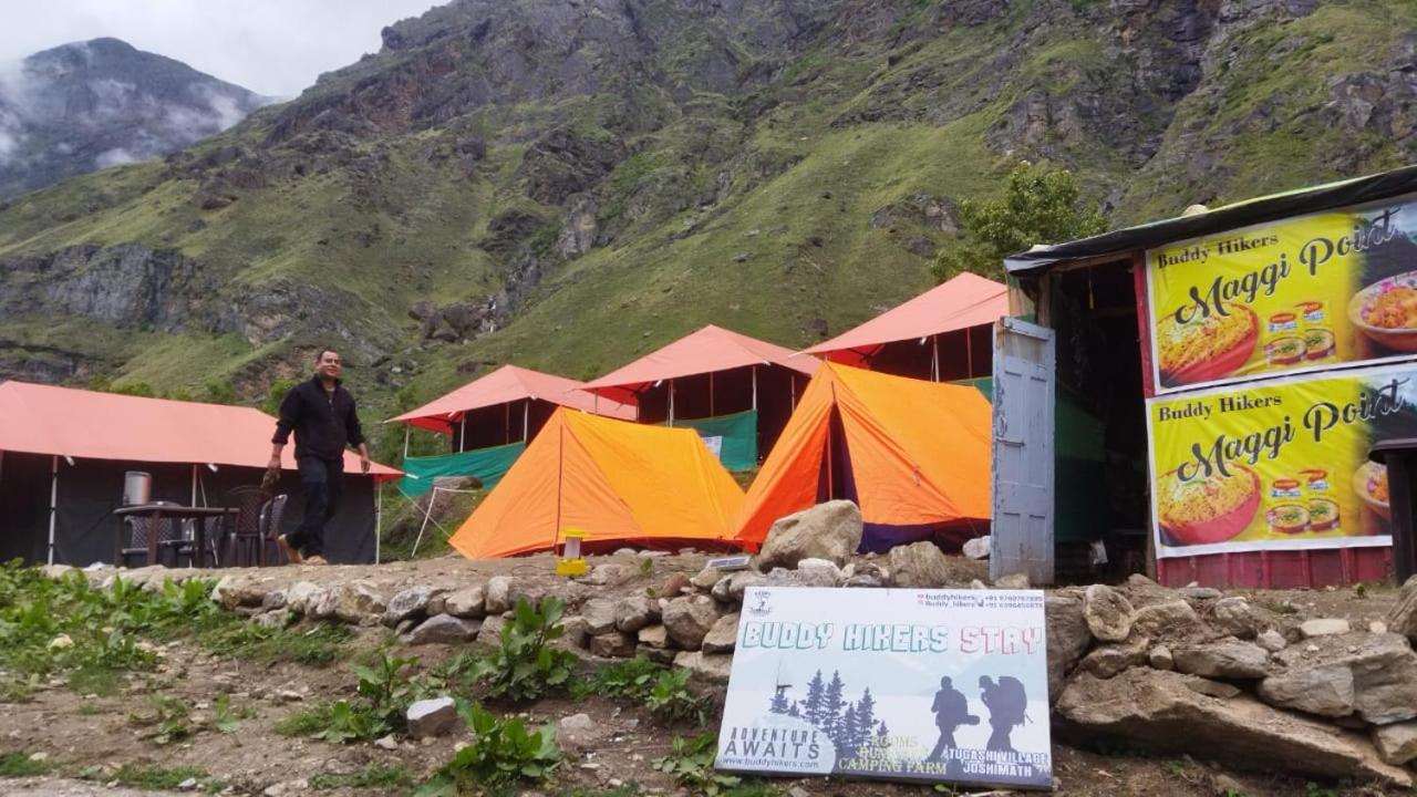 Tent photo 1