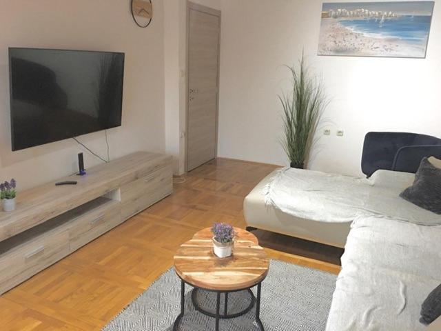 Apartment with Terrace photo 3