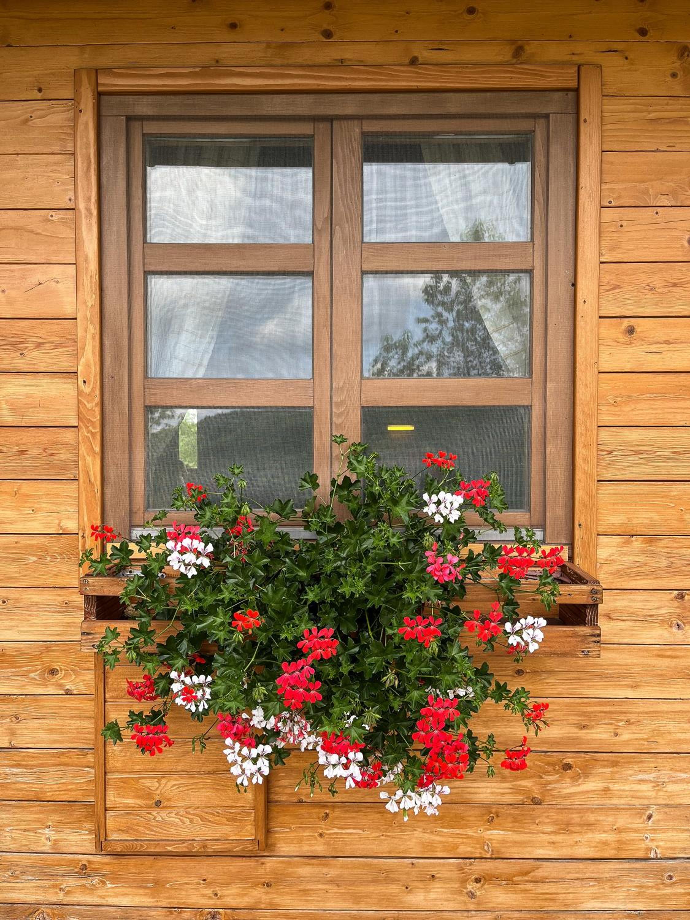 Apartment with Mountain View - Photo 7