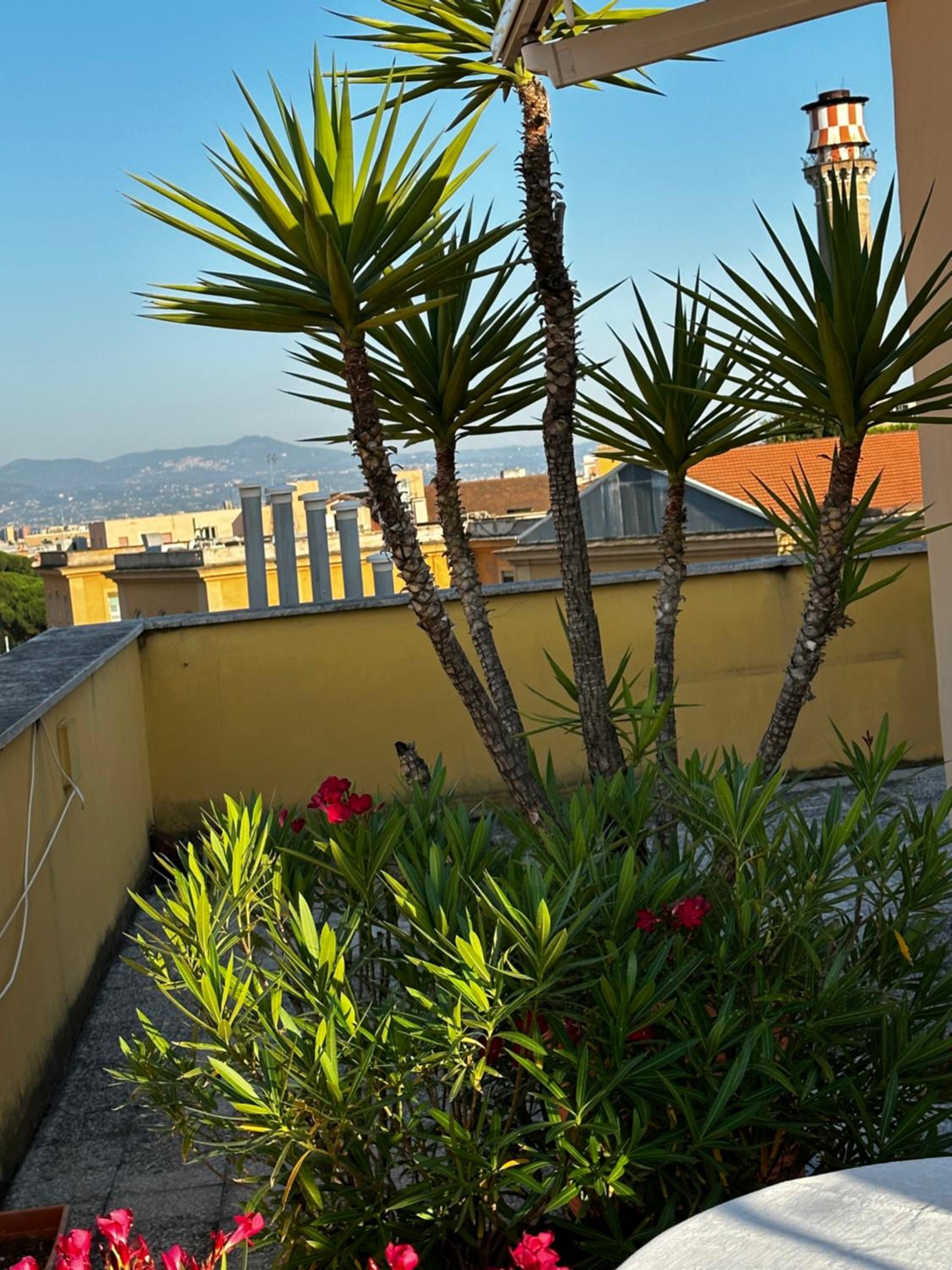 Double Room with Terrace photo 2