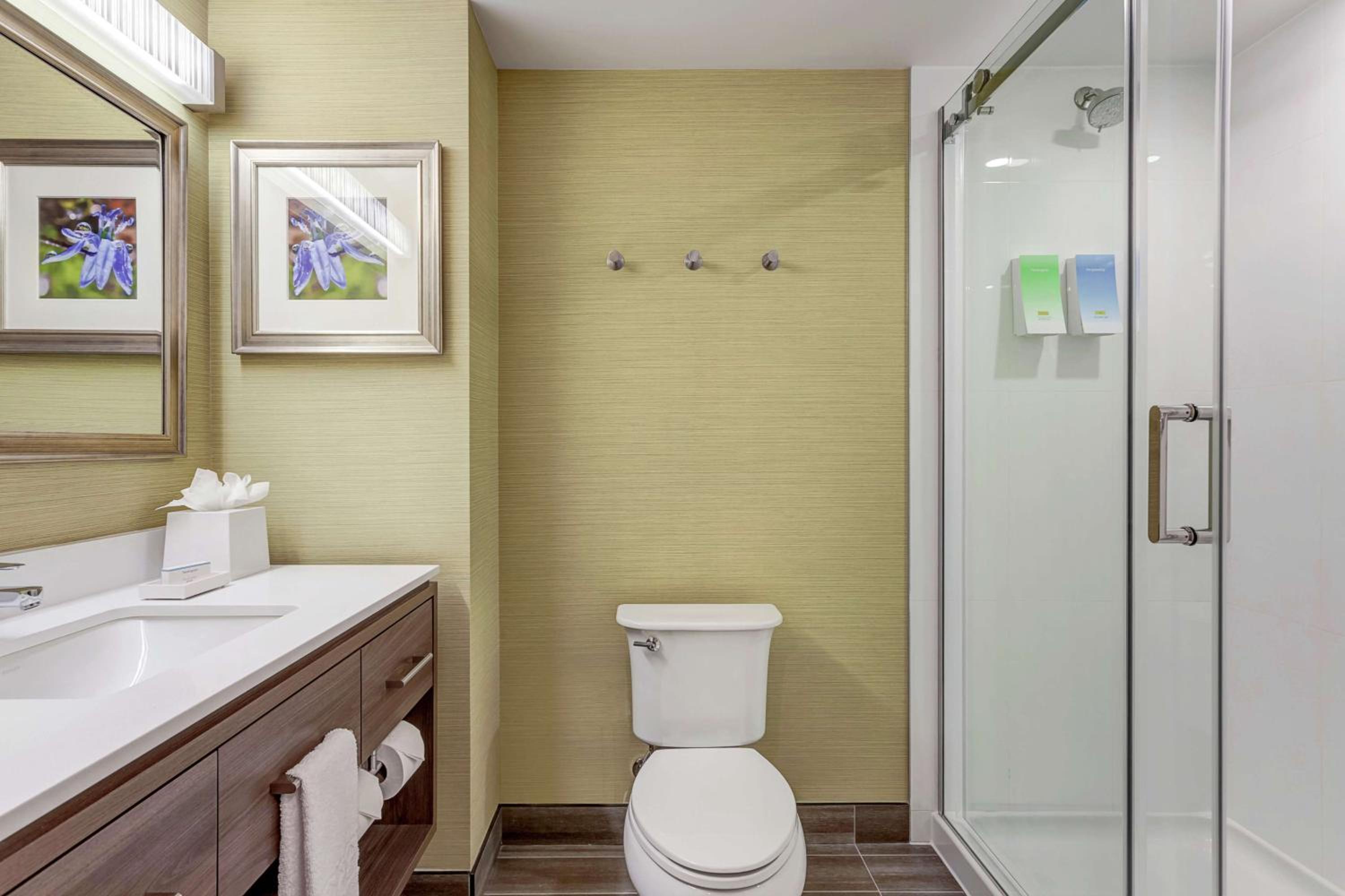 King Studio Suite - Non-Smoking - Photo 5
