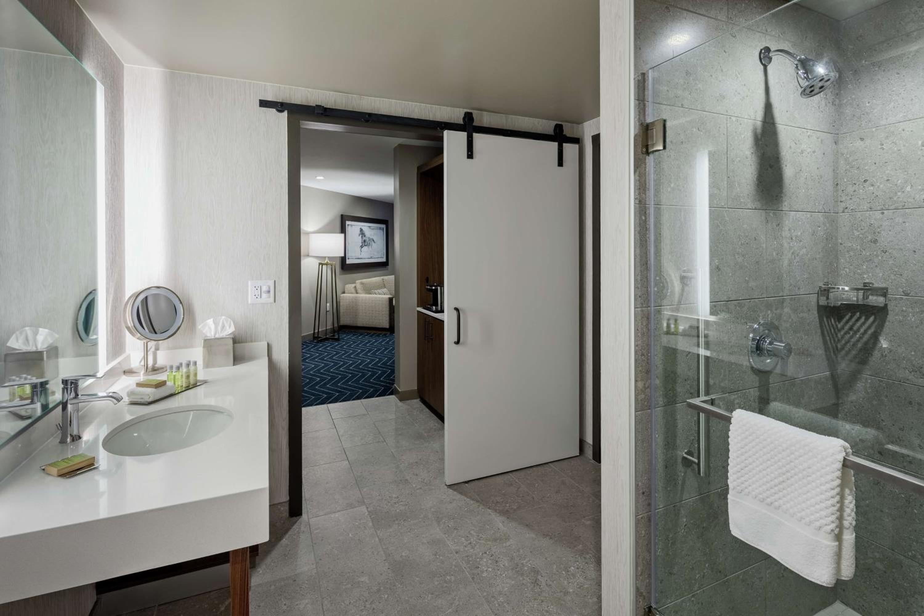 One-Bedroom King Suite - Photo 4