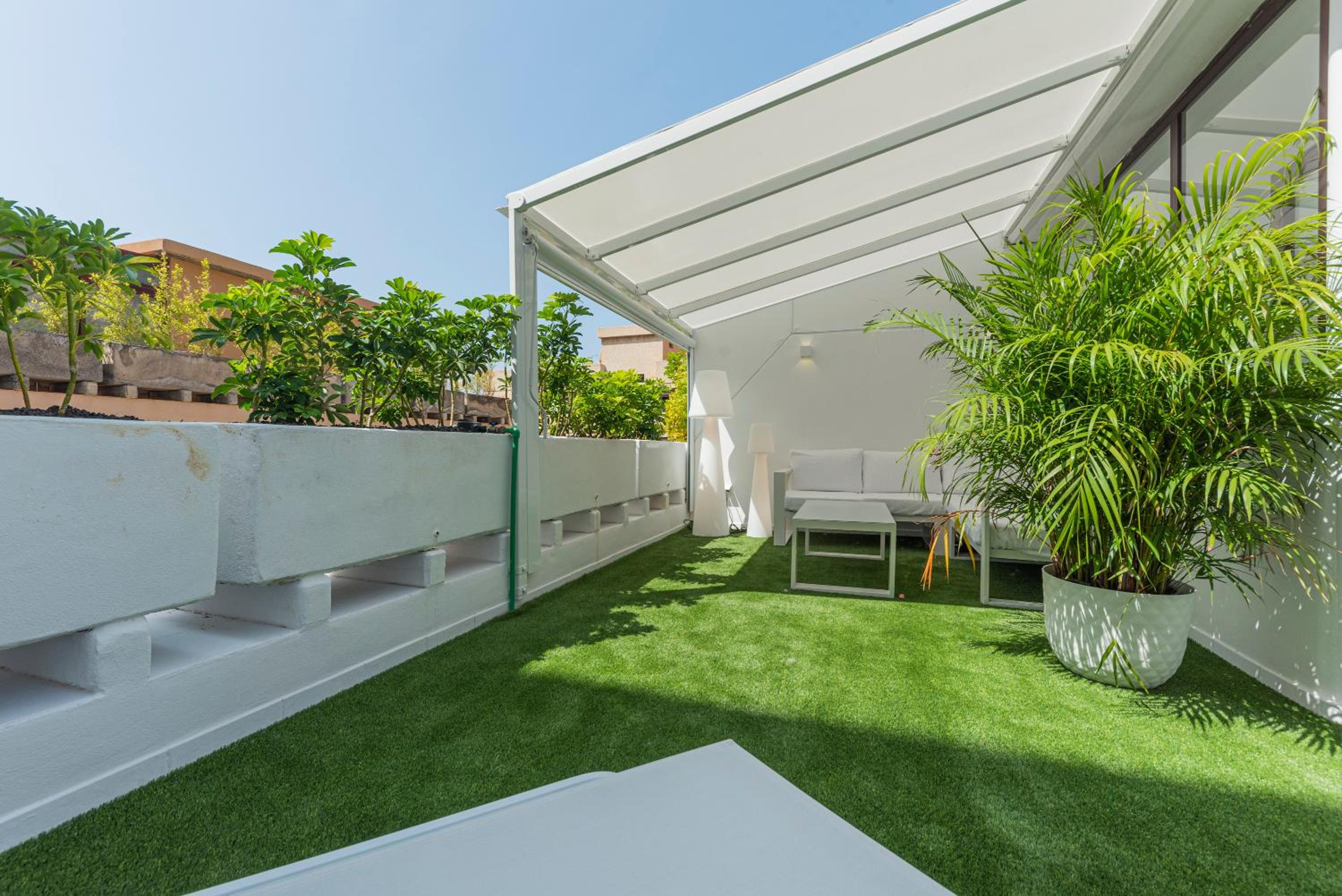 Apartment with Terrace photo 2