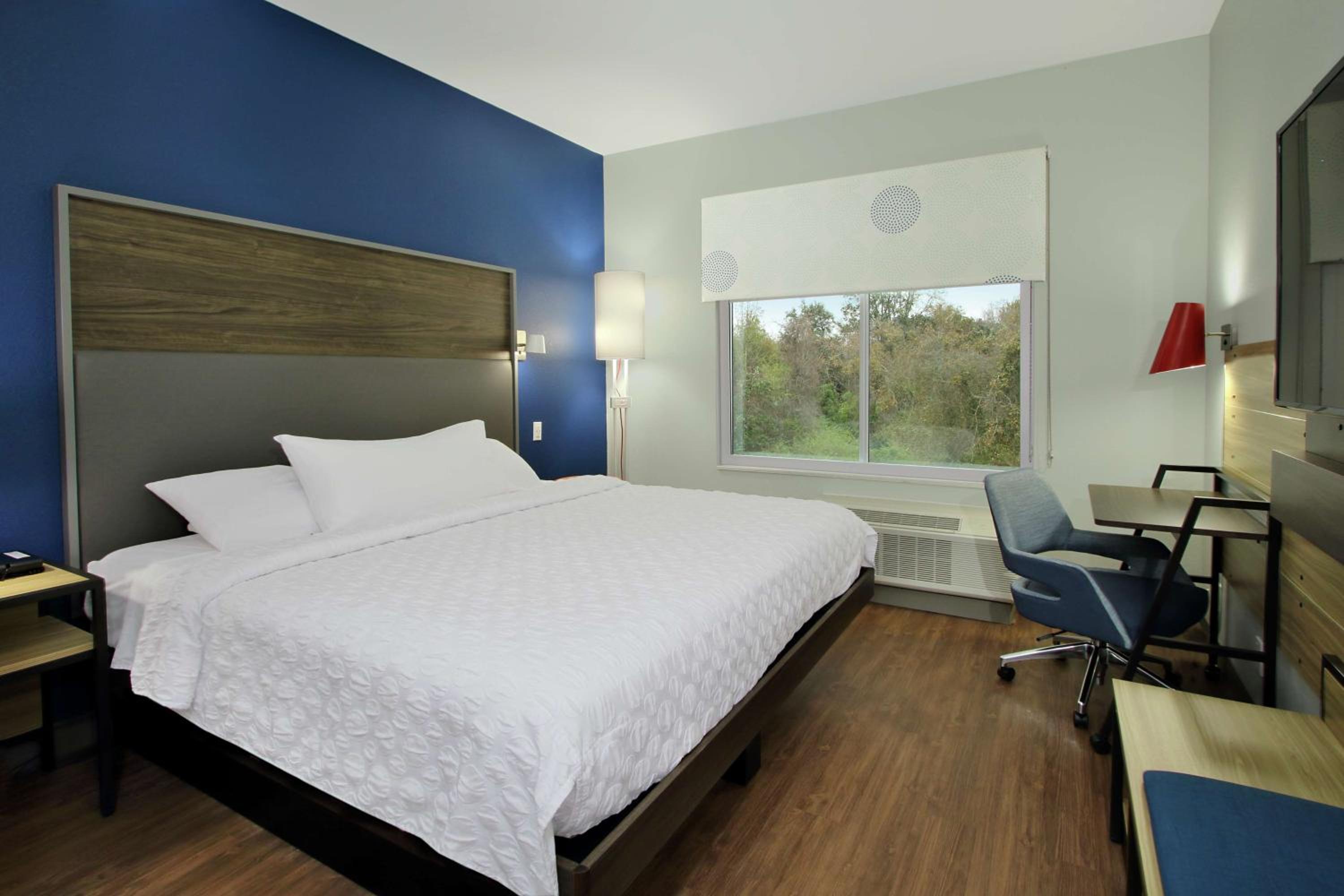 King Room - Photo 1