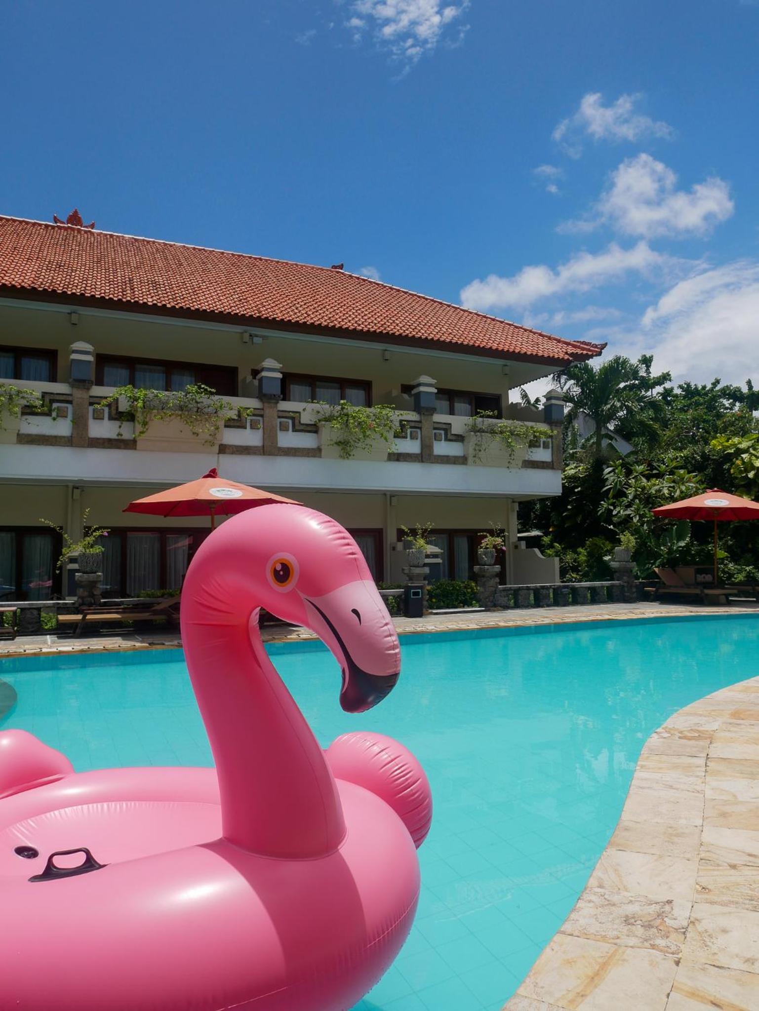 Deluxe King Room - Pool View - Photo 5