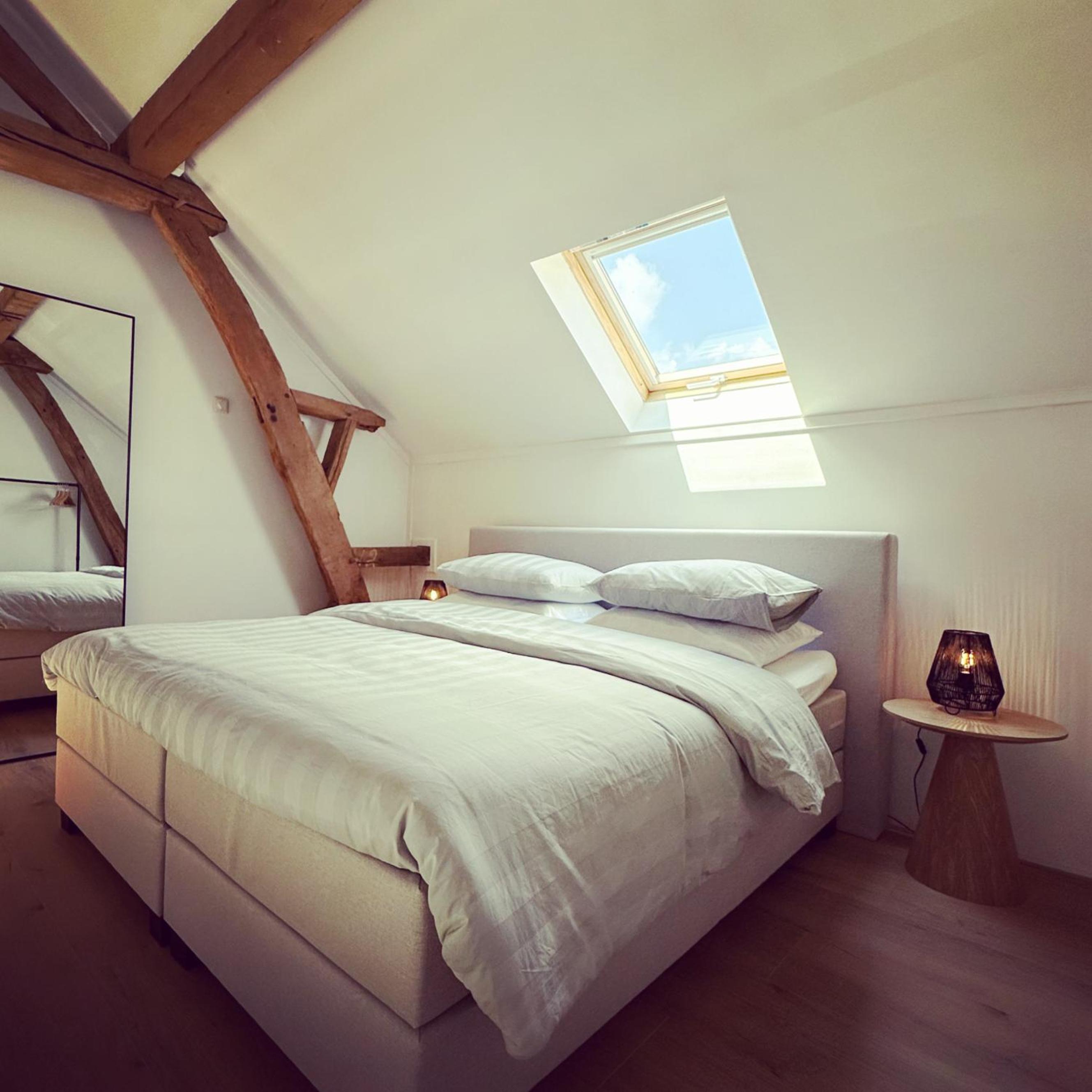 Suite with Terrace