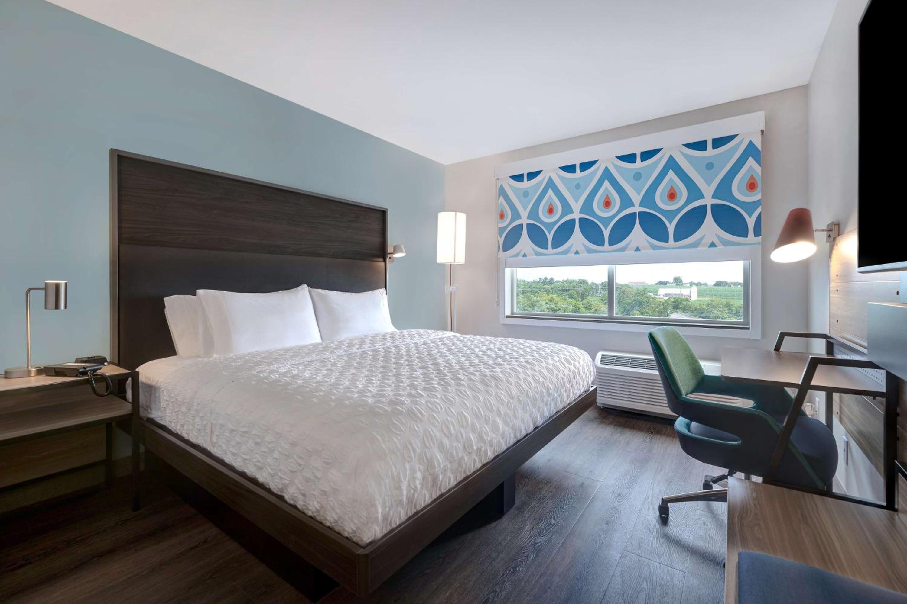 King Room - Photo 4
