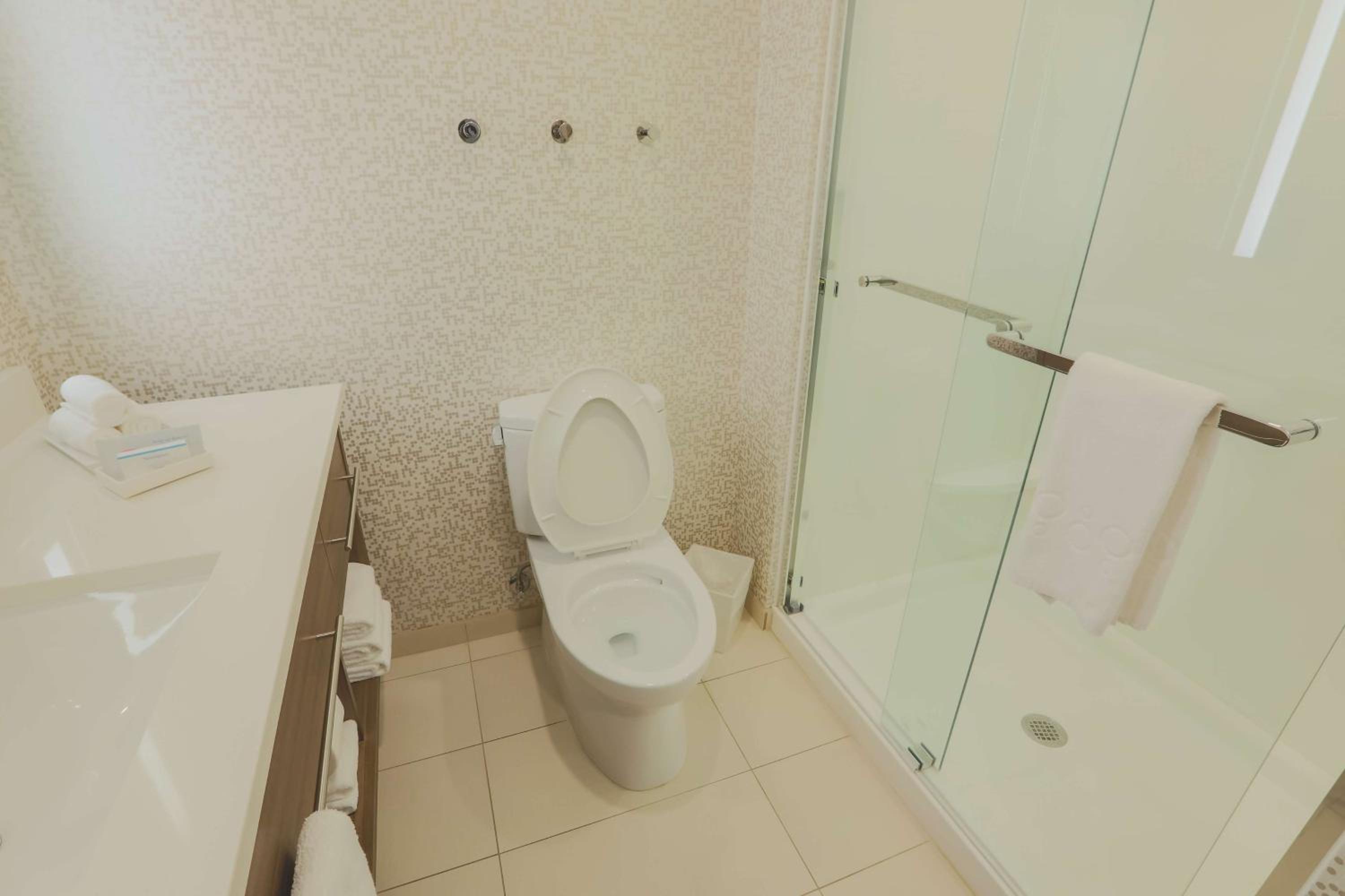 King Studio Suite - Non-Smoking - Photo 12