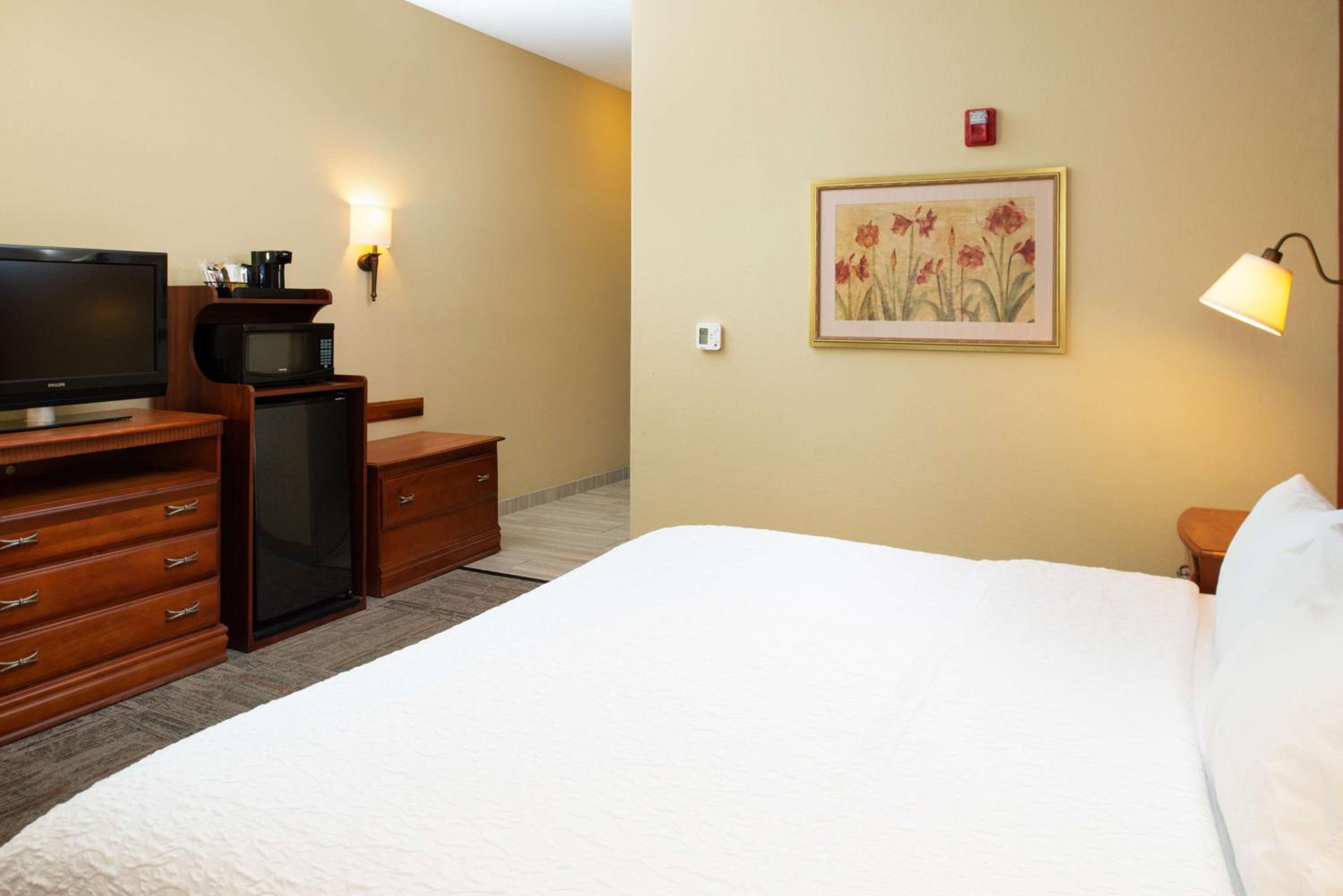 King Room with Roll-In Shower - Mobility Access/Non-Smoking photo 3