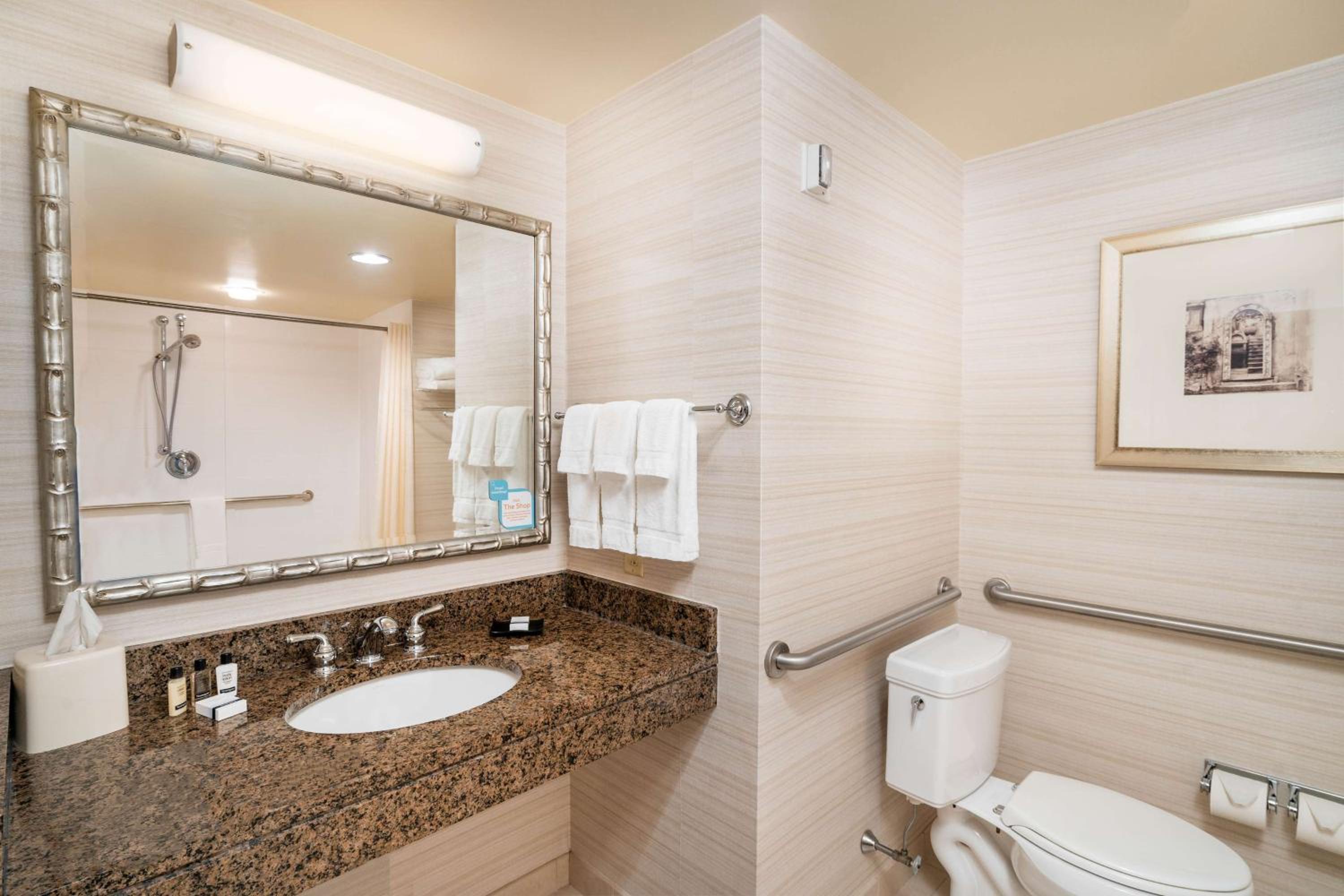 King Suite with Roll-In Shower - Mobility/Hearing Accessible - Photo 3