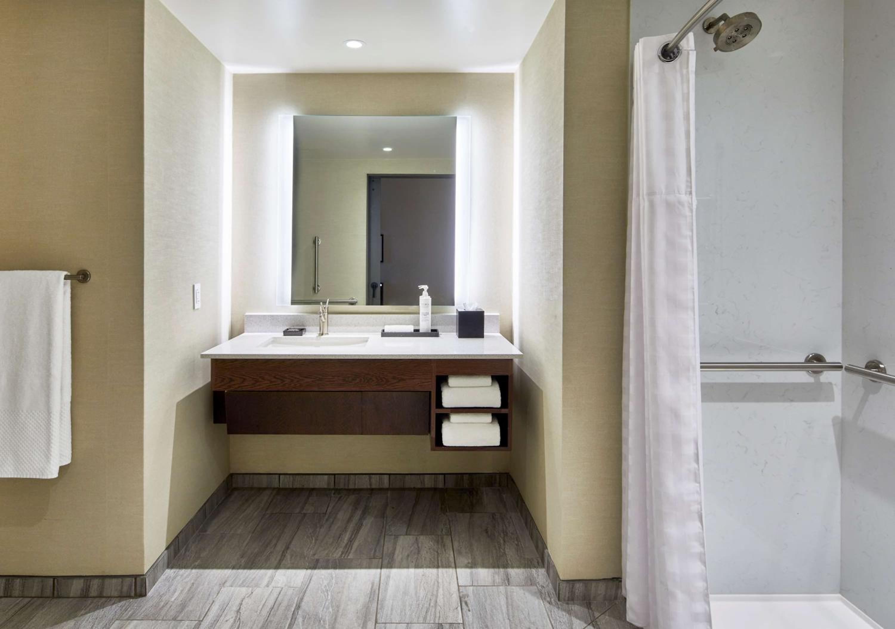 King Studio with Roll-In Shower - Mobility Accessible - Photo 4